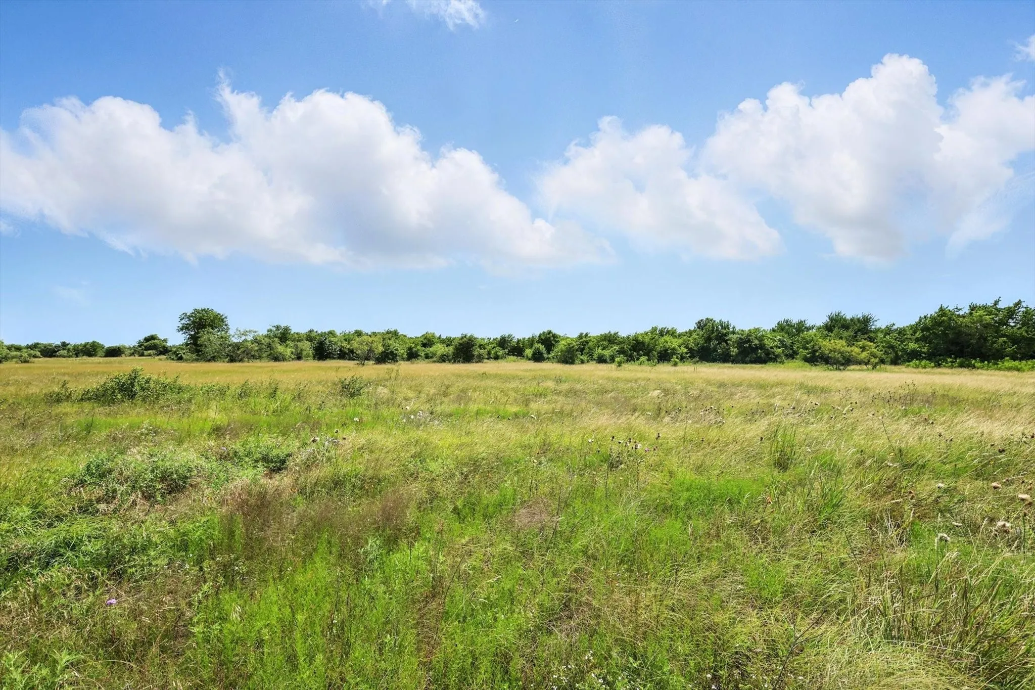 Improved Land For Sale in Hill County , Lot 42 Longview Creek Trail, Itasca, Texas 76055, 0, 0, Garage spaces, 0 Sqft, built in 0, Price $75,000, mls#20981064, Real Estate Agent in Itasca, Homes For Sale in Hill county, Homes For Sale in Itasca, Realtor in Itasca Texas, Real Estate Brokerage Independent Realty Texas, Luminita Cordes Realtor