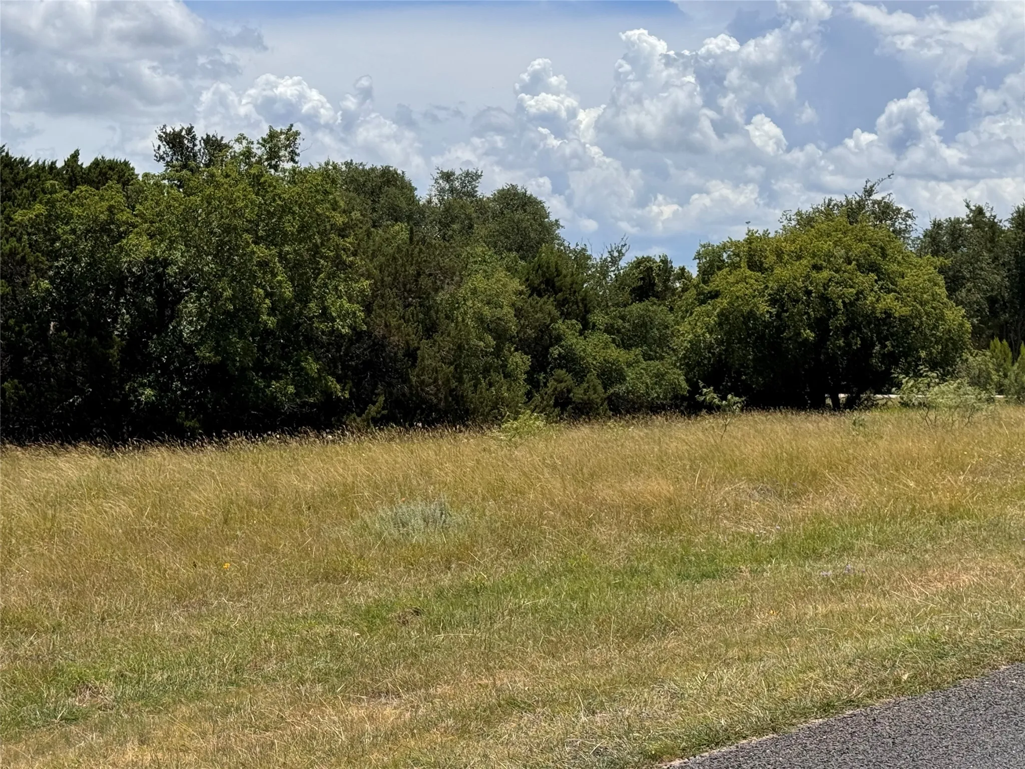 View of woods