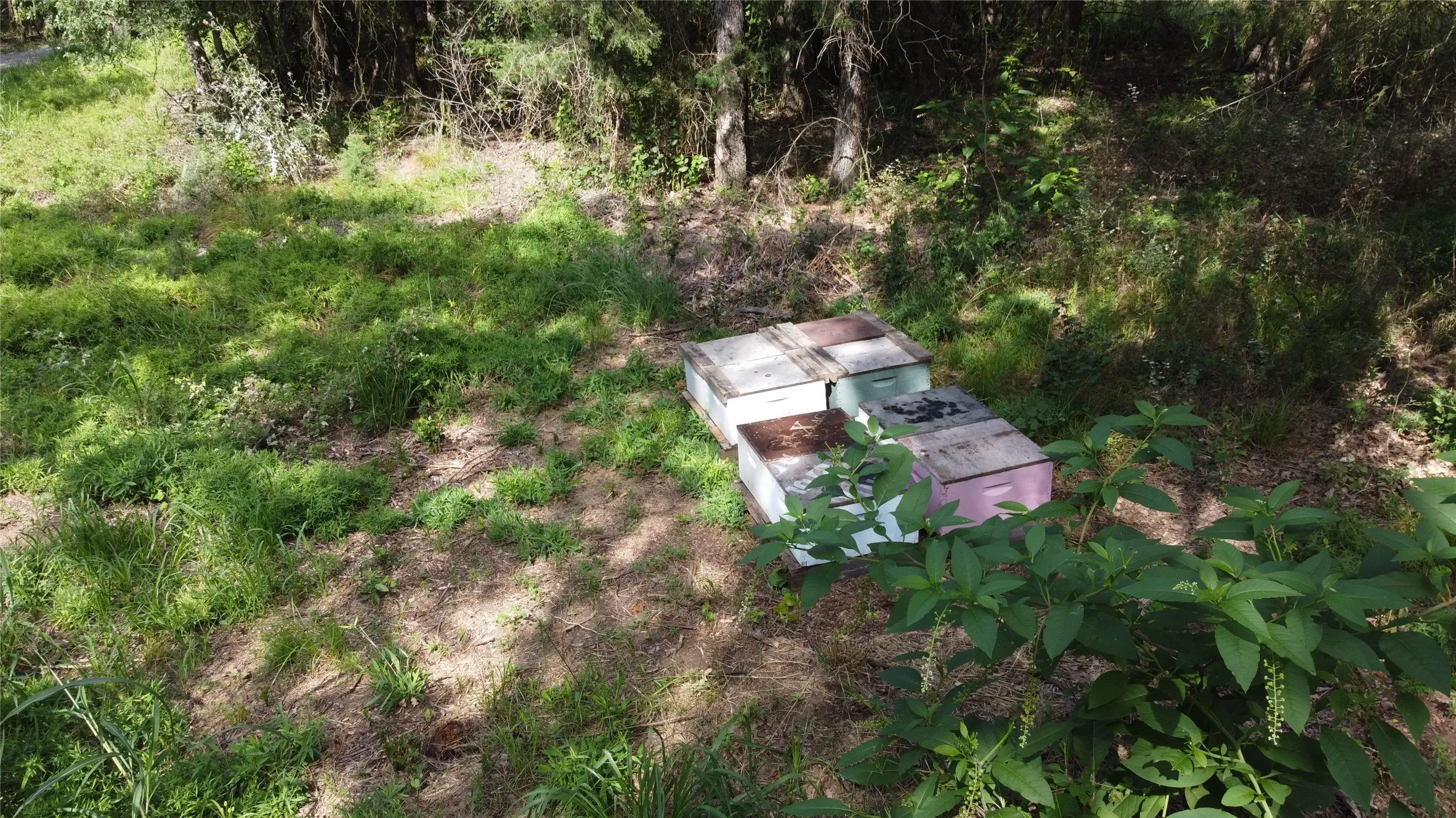 Bee Hives for AG Exemption