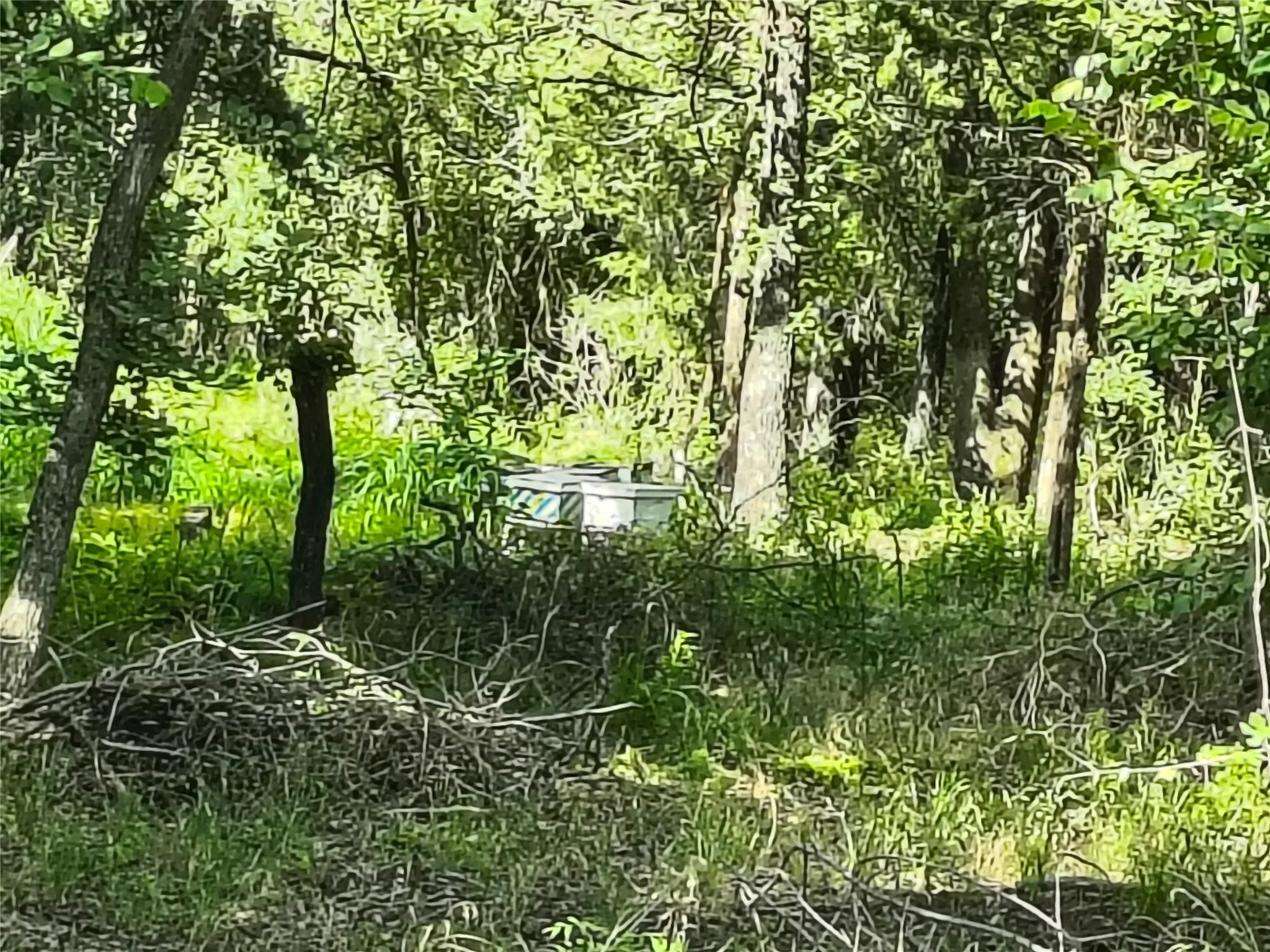 Ground view of Bee Hives