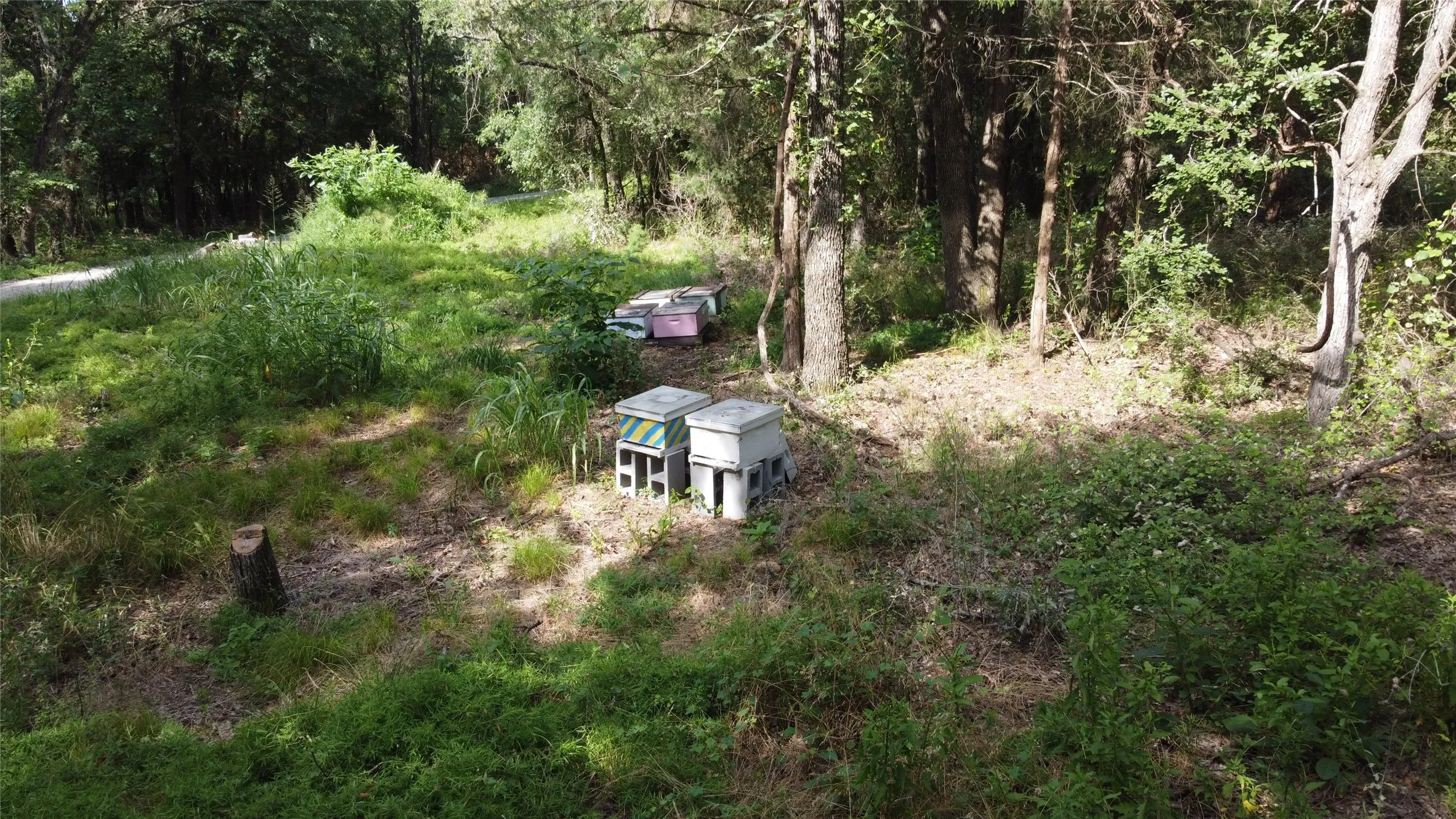 Bee Hives for AG Exemption