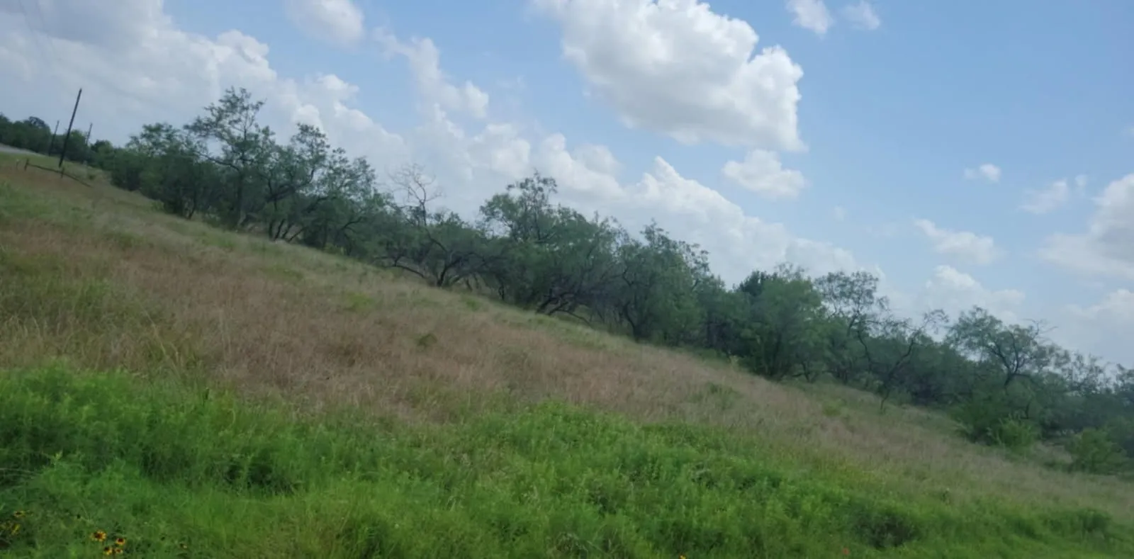 View of local wilderness featuring rural landscape