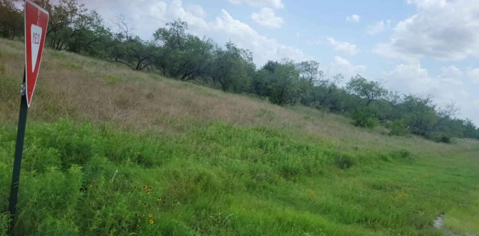 View of undeveloped land featuring rural landscape