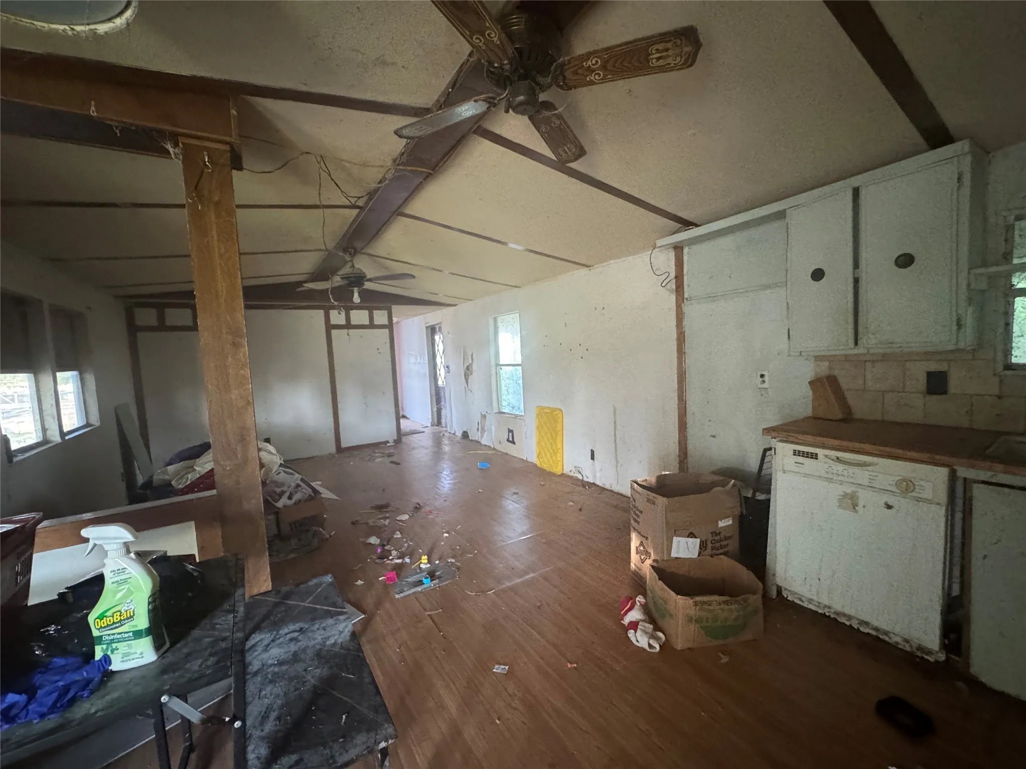 Kitchen featuring dishwasher, ceiling fan, and wood finished floors