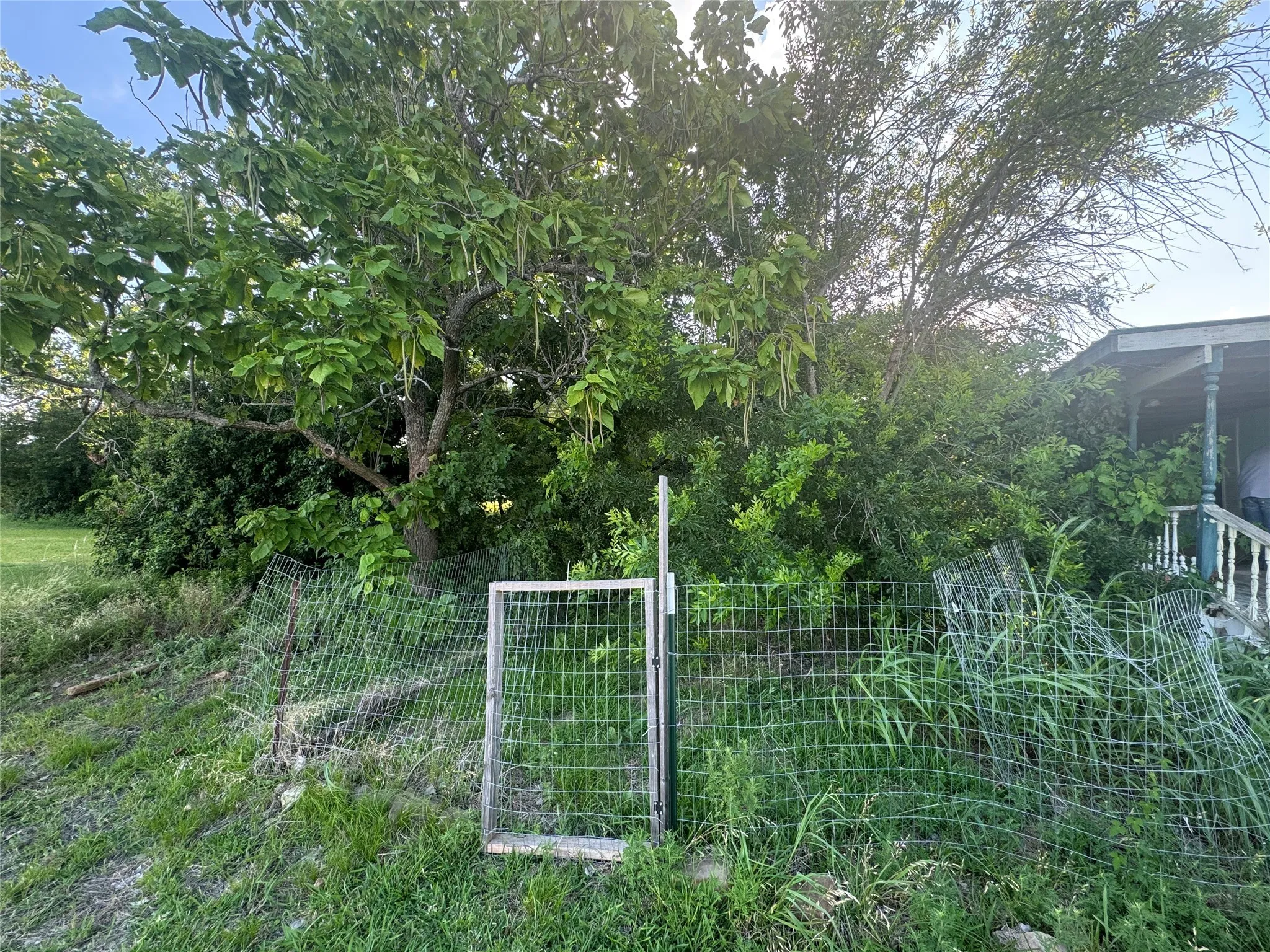 View of gate