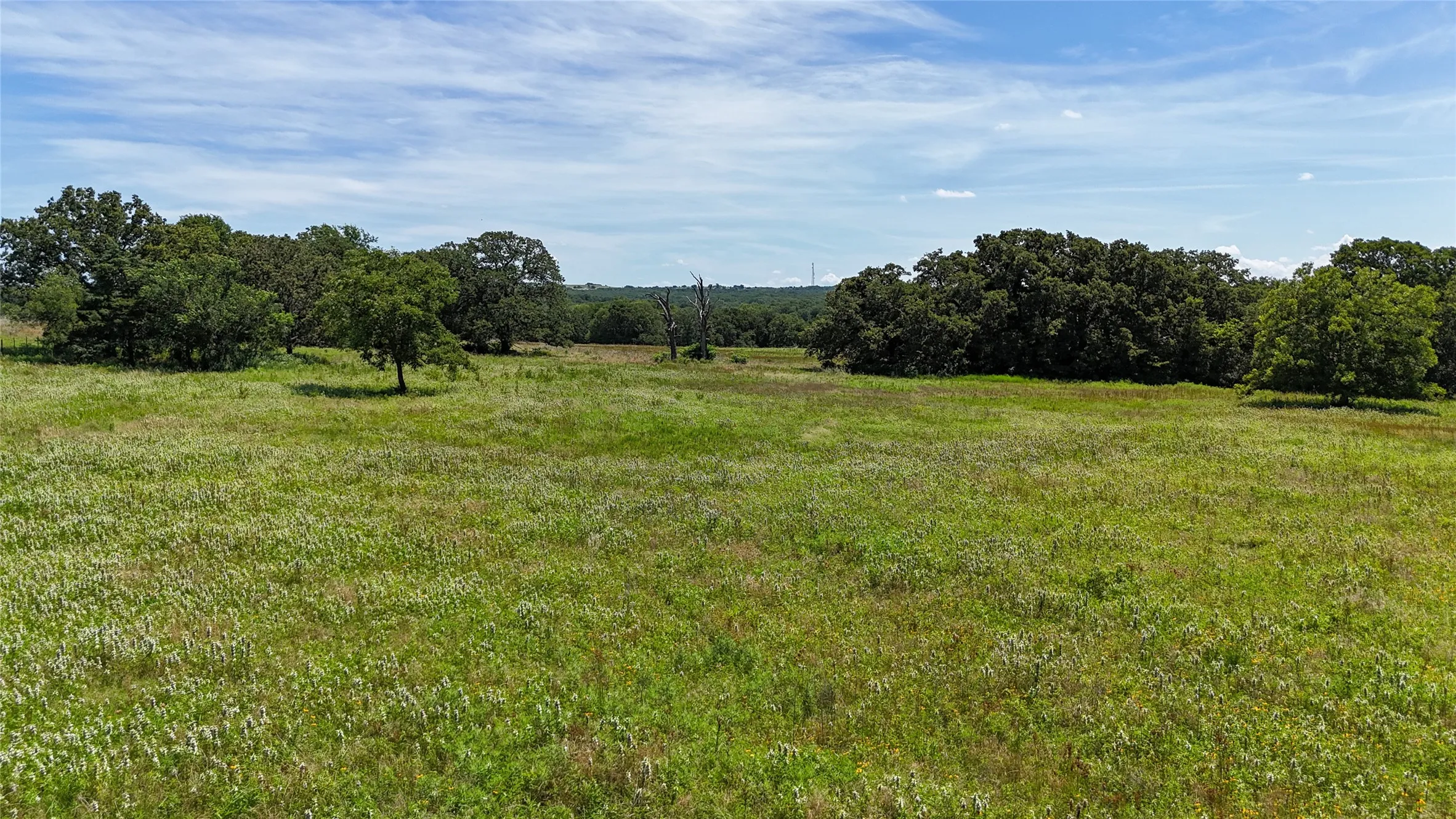 Single Family Residence For Sale in Montague County , 11471 FM 455, Forestburg, Texas 76239, 4 Bedroom, 4 Bathroom, 2 Garage spaces, 4,024 Sqft, built in 1999, Preowned, Price $1,750,000, mls#20980115, Real Estate Agent in Forestburg, Homes For Sale in Montague county, Homes For Sale in Forestburg, Realtor in Forestburg Texas, Real Estate Brokerage Independent Realty Texas, Luminita Cordes Realtor
