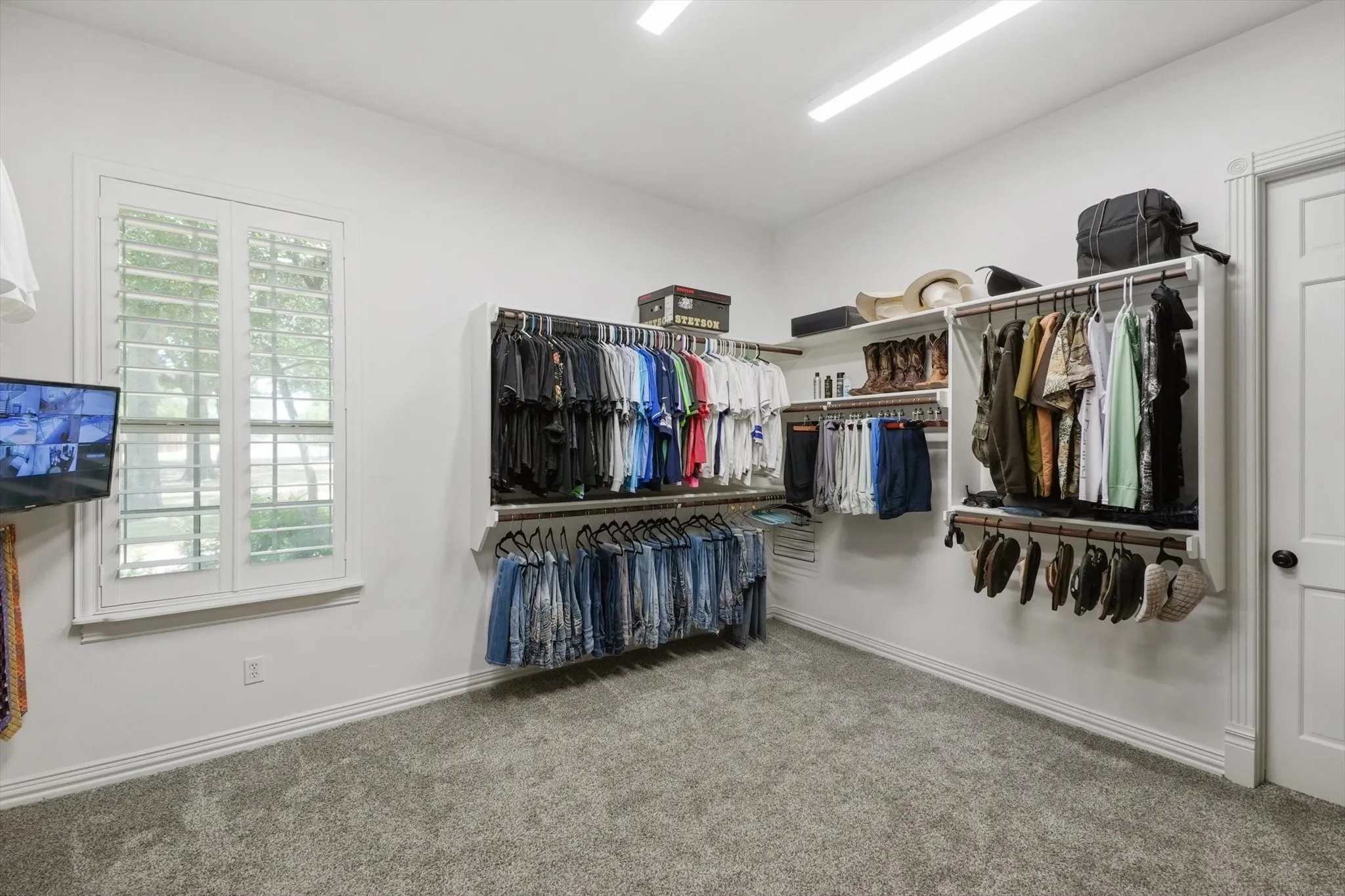 Walk in closet with carpet floors