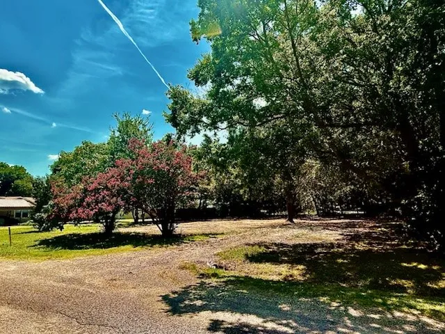 View of grassy yard