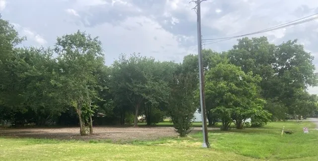View of green lawn