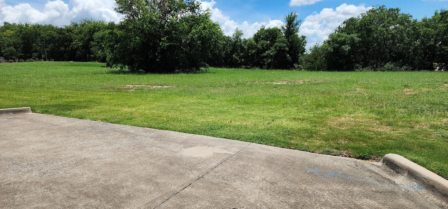 Driveway into the property