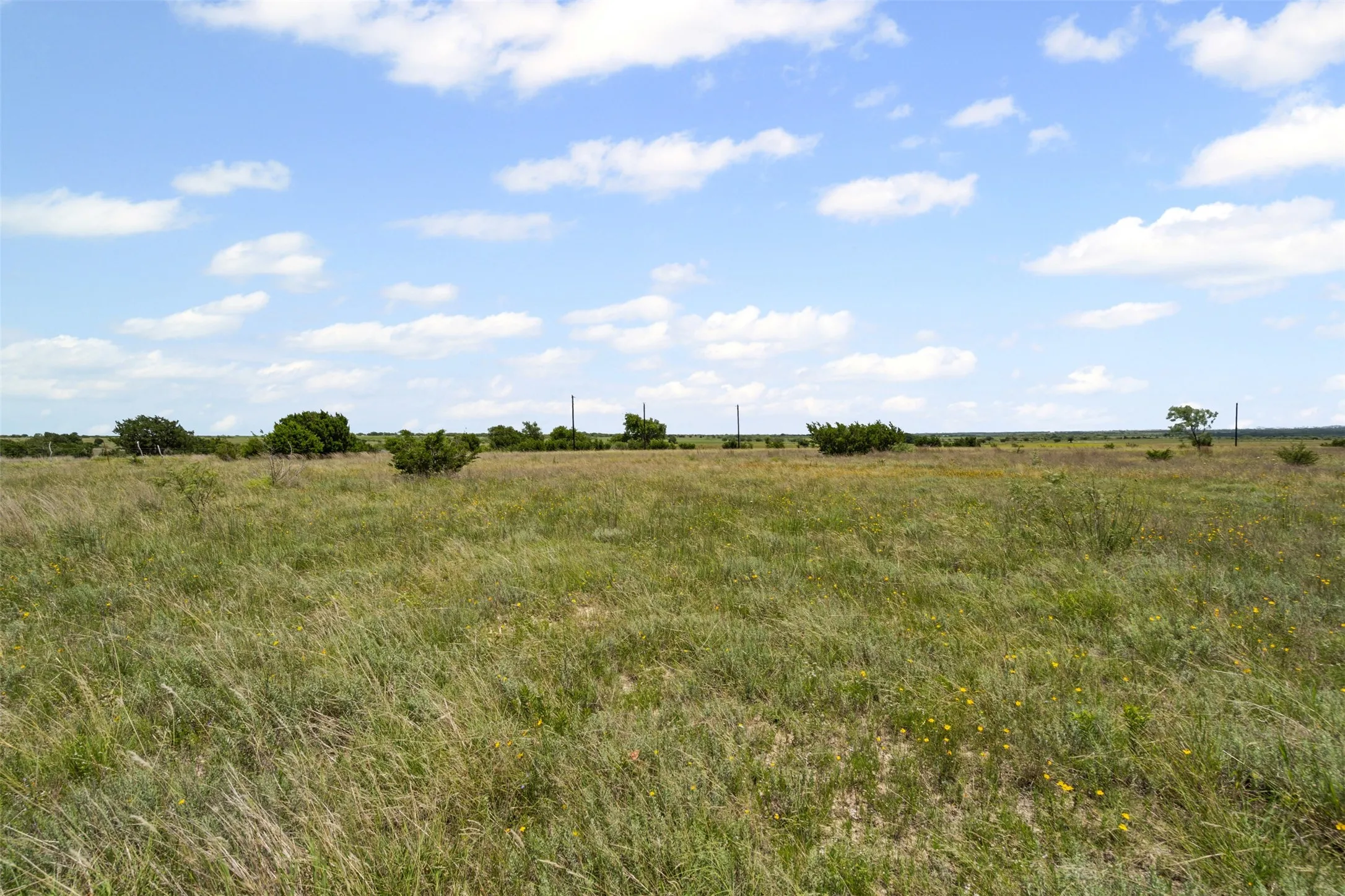 Ranch For Sale in Hamilton County , TBD County Road 619, Hamilton, Texas 76531, 0, 0, Garage spaces, 0 Sqft, built in 0, Price $199,500, mls#20979785, Real Estate Agent in Hamilton, Homes For Sale in Hamilton county, Homes For Sale in Hamilton, Realtor in Hamilton Texas, Real Estate Brokerage Independent Realty Texas, Luminita Cordes Realtor