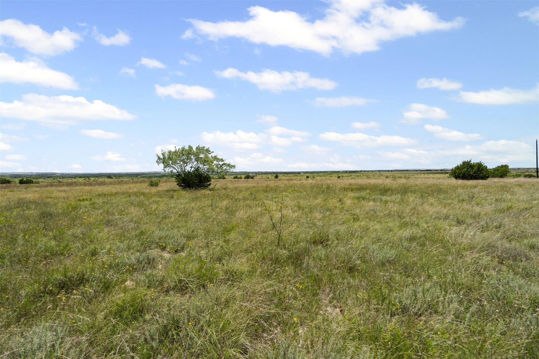 Ranch For Sale in Hamilton County , TBD County Road 619, Hamilton, Texas 76531, 0, 0, Garage spaces, 0 Sqft, built in 0, Price $199,500, mls#20979785, Real Estate Agent in Hamilton, Homes For Sale in Hamilton county, Homes For Sale in Hamilton, Realtor in Hamilton Texas, Real Estate Brokerage Independent Realty Texas, Luminita Cordes Realtor