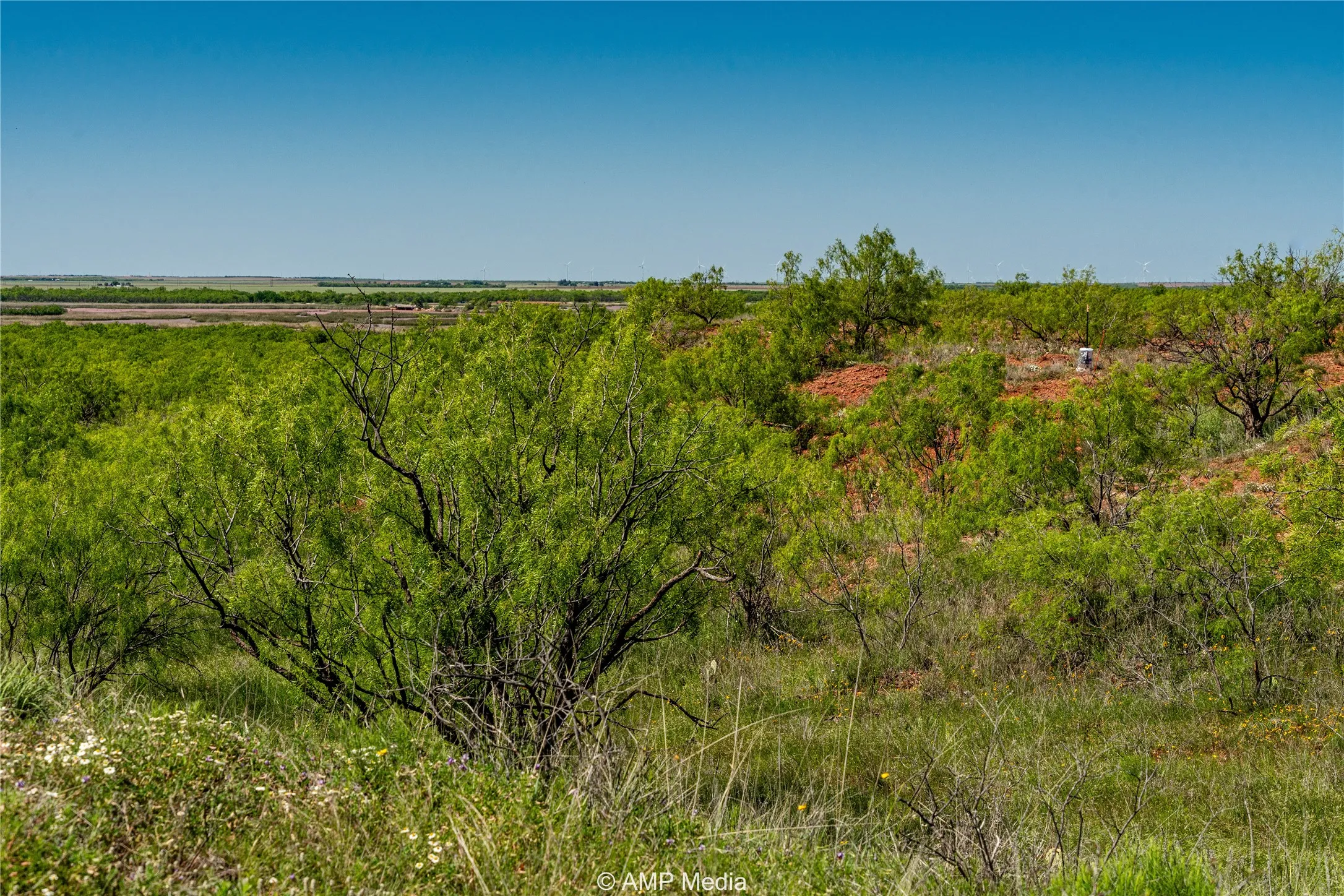 Ranch For Sale in Haskell County , T B D FM 600, Haskell, Texas 79521, 0, 0, Garage spaces, 0 Sqft, built in 0, Price $486,900, mls#20983373, Real Estate Agent in Haskell, Homes For Sale in Haskell county, Homes For Sale in Haskell, Realtor in Haskell Texas, Real Estate Brokerage Independent Realty Texas, Luminita Cordes Realtor
