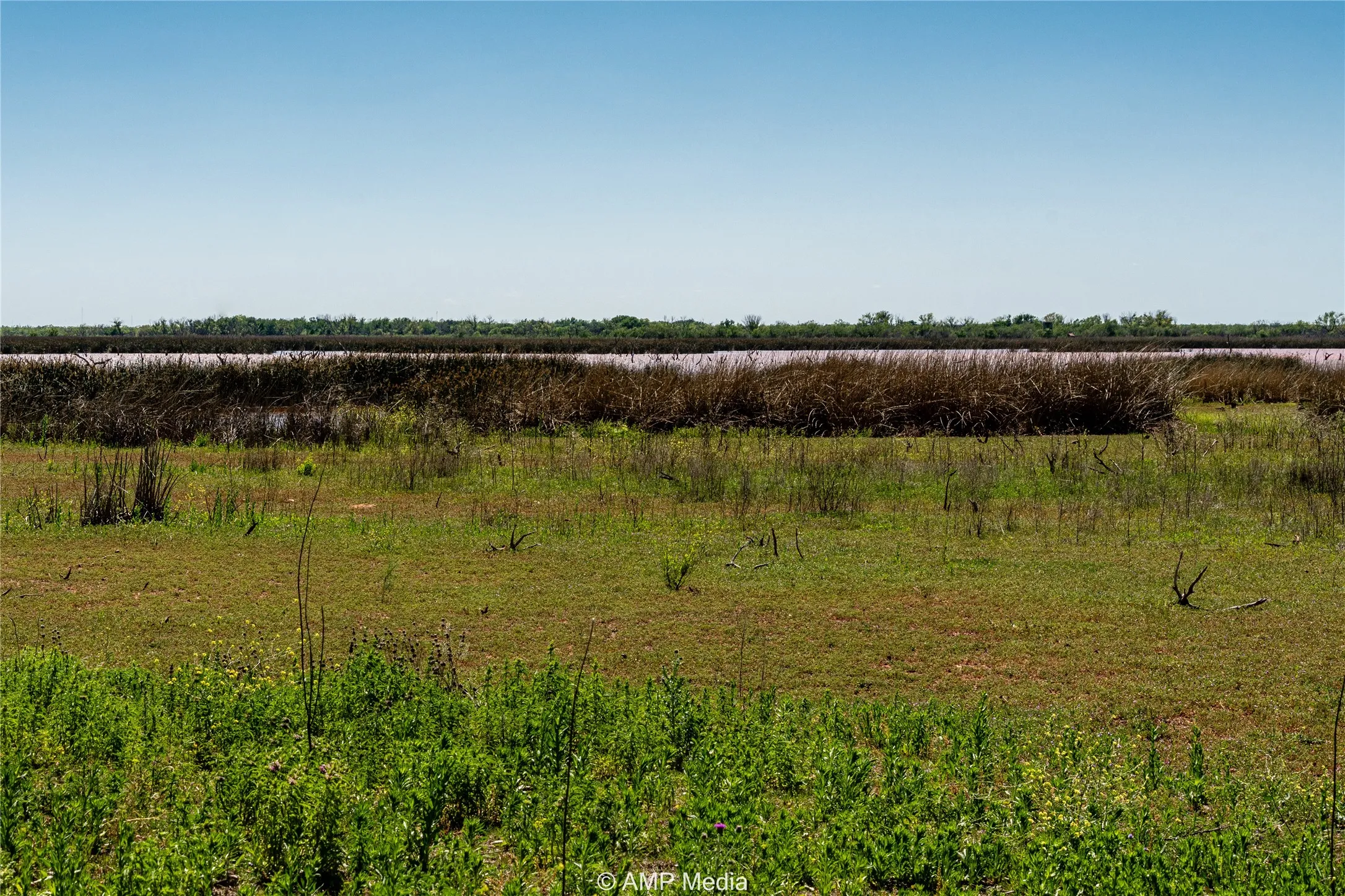 Ranch For Sale in Haskell County , T B D FM 600, Haskell, Texas 79521, 0, 0, Garage spaces, 0 Sqft, built in 0, Price $486,900, mls#20983373, Real Estate Agent in Haskell, Homes For Sale in Haskell county, Homes For Sale in Haskell, Realtor in Haskell Texas, Real Estate Brokerage Independent Realty Texas, Luminita Cordes Realtor