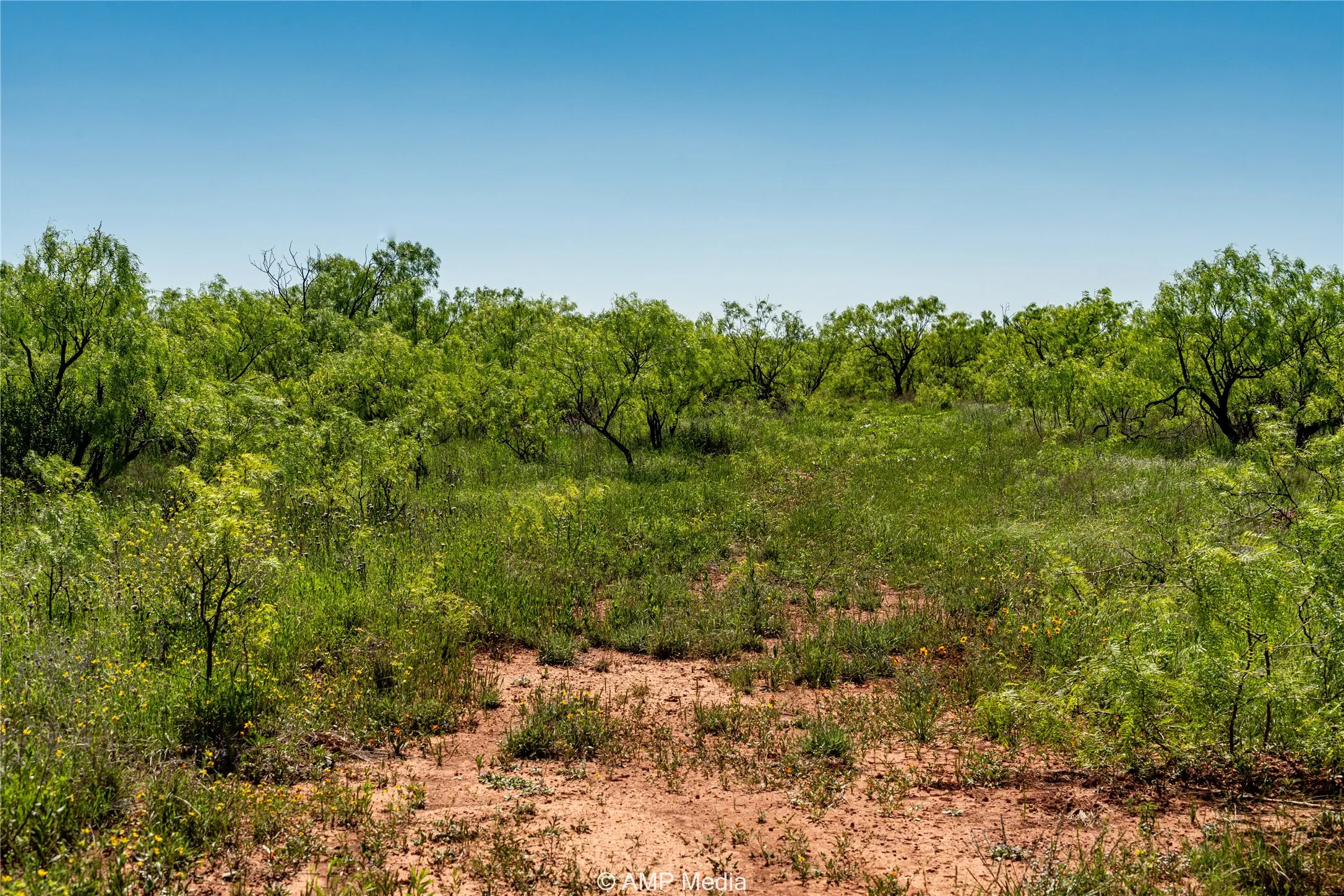 Ranch For Sale in Haskell County , T B D FM 600, Haskell, Texas 79521, 0, 0, Garage spaces, 0 Sqft, built in 0, Price $486,900, mls#20983373, Real Estate Agent in Haskell, Homes For Sale in Haskell county, Homes For Sale in Haskell, Realtor in Haskell Texas, Real Estate Brokerage Independent Realty Texas, Luminita Cordes Realtor