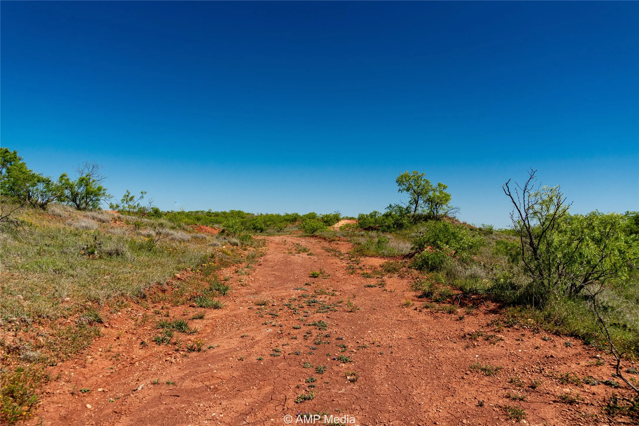 Ranch For Sale in Haskell County , T B D FM 600, Haskell, Texas 79521, 0, 0, Garage spaces, 0 Sqft, built in 0, Price $486,900, mls#20983373, Real Estate Agent in Haskell, Homes For Sale in Haskell county, Homes For Sale in Haskell, Realtor in Haskell Texas, Real Estate Brokerage Independent Realty Texas, Luminita Cordes Realtor