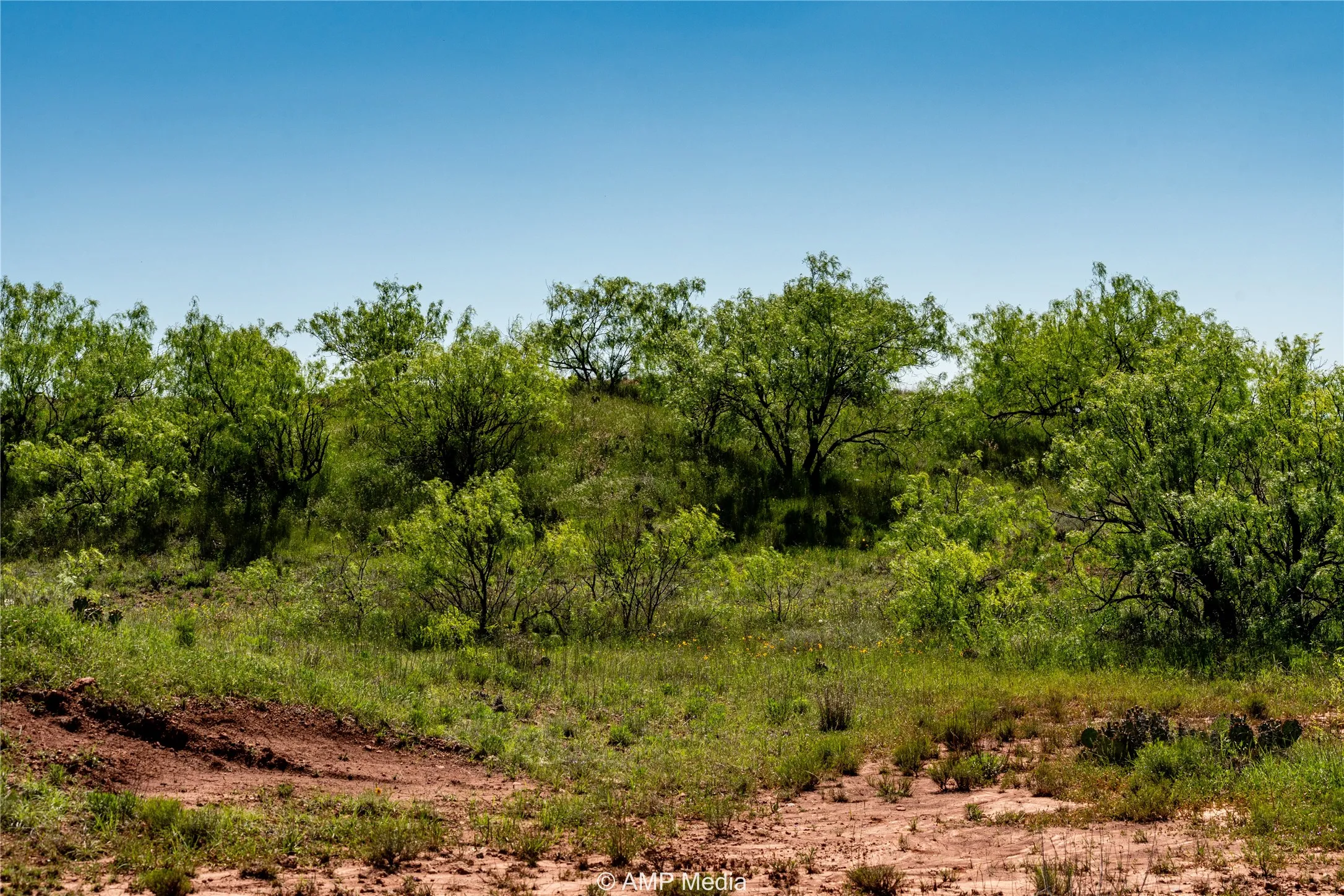 Ranch For Sale in Haskell County , T B D FM 600, Haskell, Texas 79521, 0, 0, Garage spaces, 0 Sqft, built in 0, Price $486,900, mls#20983373, Real Estate Agent in Haskell, Homes For Sale in Haskell county, Homes For Sale in Haskell, Realtor in Haskell Texas, Real Estate Brokerage Independent Realty Texas, Luminita Cordes Realtor