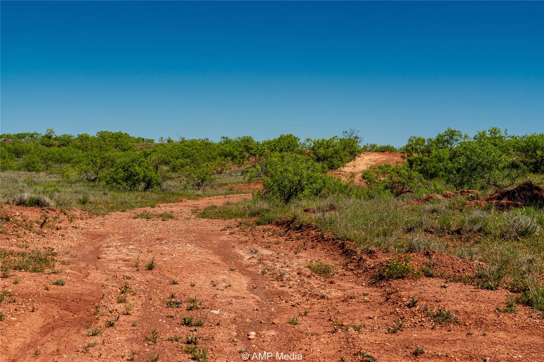 Ranch For Sale in Haskell County , T B D FM 600, Haskell, Texas 79521, 0, 0, Garage spaces, 0 Sqft, built in 0, Price $486,900, mls#20983373, Real Estate Agent in Haskell, Homes For Sale in Haskell county, Homes For Sale in Haskell, Realtor in Haskell Texas, Real Estate Brokerage Independent Realty Texas, Luminita Cordes Realtor