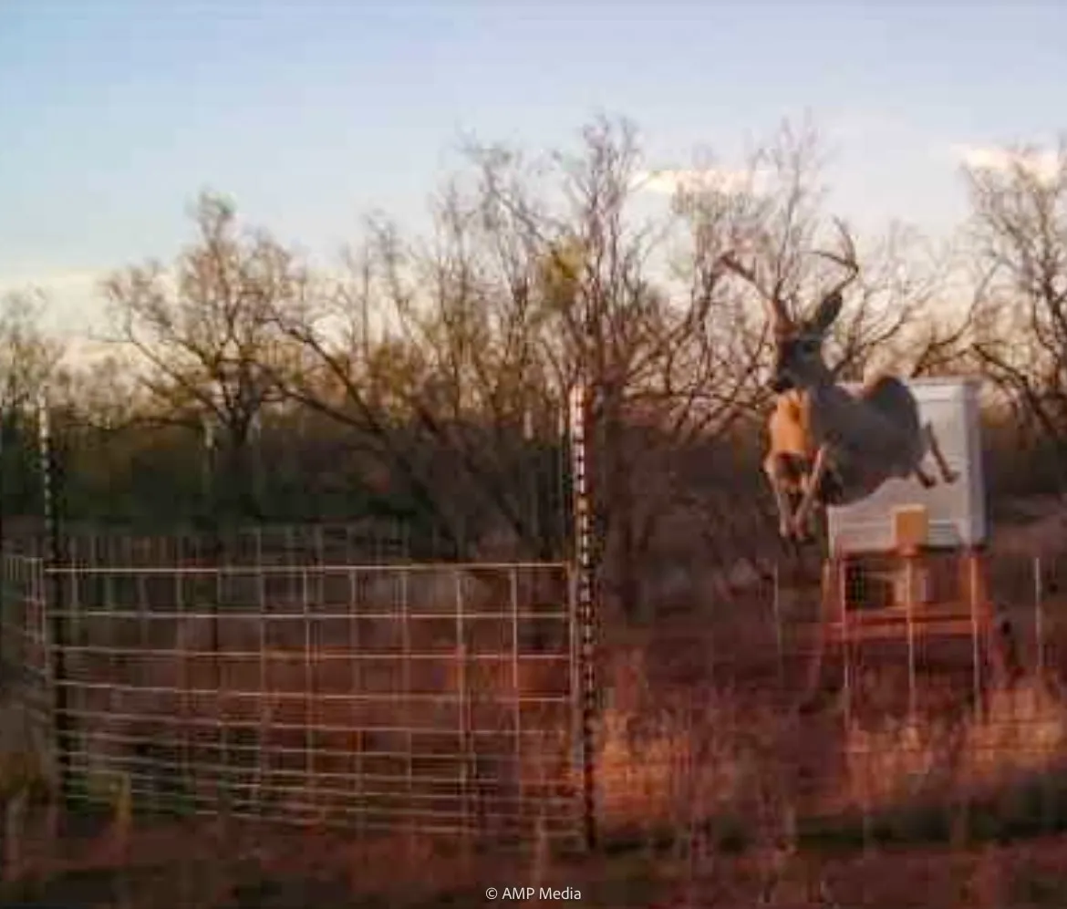 Ranch For Sale in Haskell County , T B D FM 600, Haskell, Texas 79521, 0, 0, Garage spaces, 0 Sqft, built in 0, Price $486,900, mls#20983373, Real Estate Agent in Haskell, Homes For Sale in Haskell county, Homes For Sale in Haskell, Realtor in Haskell Texas, Real Estate Brokerage Independent Realty Texas, Luminita Cordes Realtor