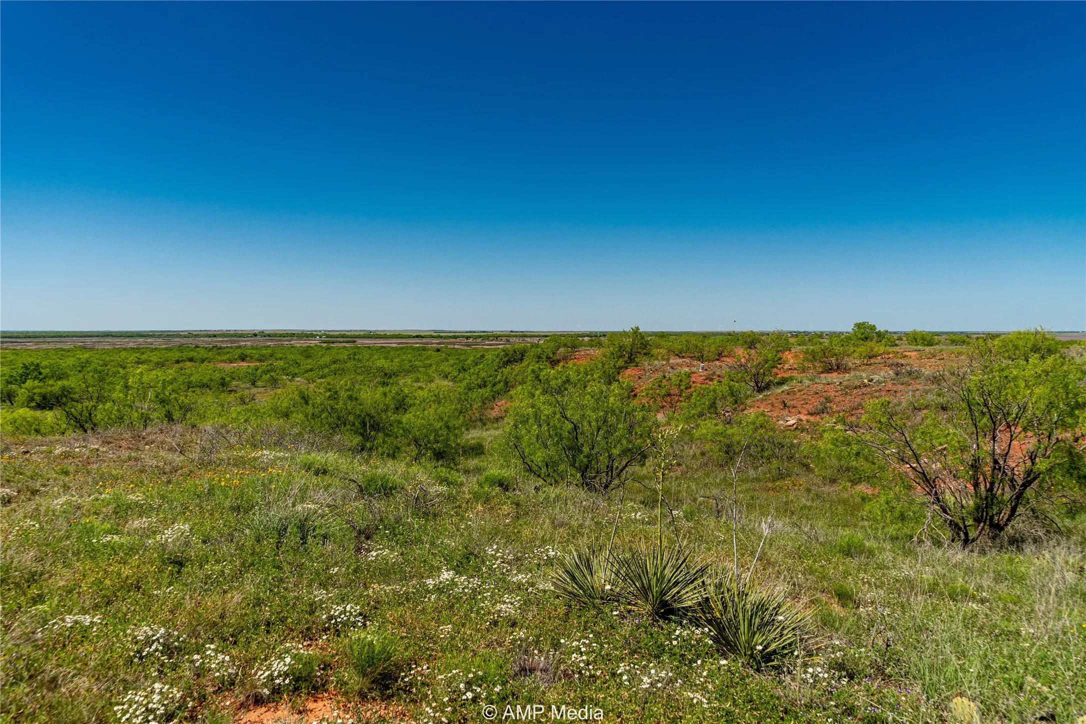 Ranch For Sale in Haskell County , T B D FM 600, Haskell, Texas 79521, 0, 0, Garage spaces, 0 Sqft, built in 0, Price $486,900, mls#20983373, Real Estate Agent in Haskell, Homes For Sale in Haskell county, Homes For Sale in Haskell, Realtor in Haskell Texas, Real Estate Brokerage Independent Realty Texas, Luminita Cordes Realtor