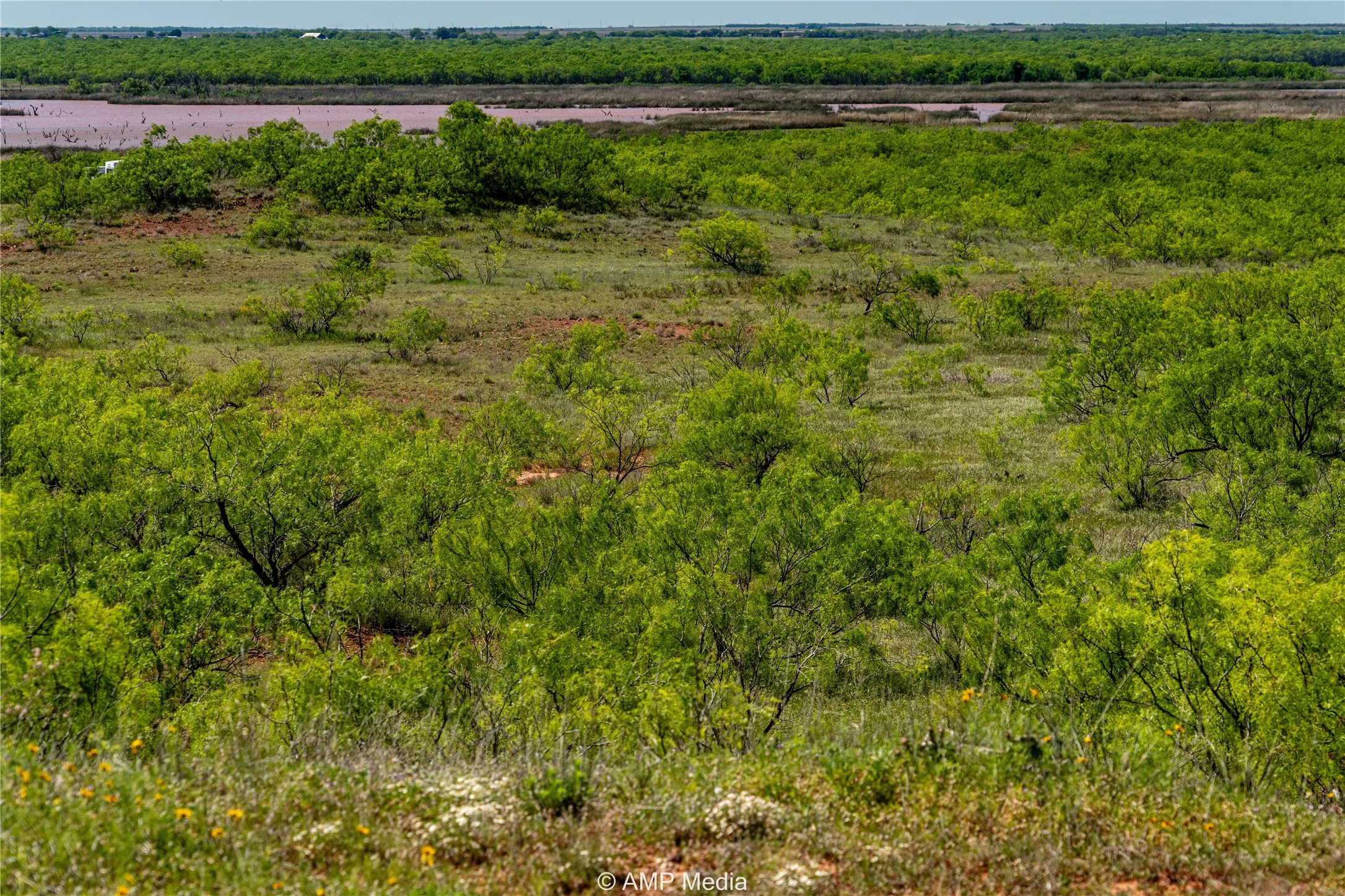 Ranch For Sale in Haskell County , T B D FM 600, Haskell, Texas 79521, 0, 0, Garage spaces, 0 Sqft, built in 0, Price $486,900, mls#20983373, Real Estate Agent in Haskell, Homes For Sale in Haskell county, Homes For Sale in Haskell, Realtor in Haskell Texas, Real Estate Brokerage Independent Realty Texas, Luminita Cordes Realtor