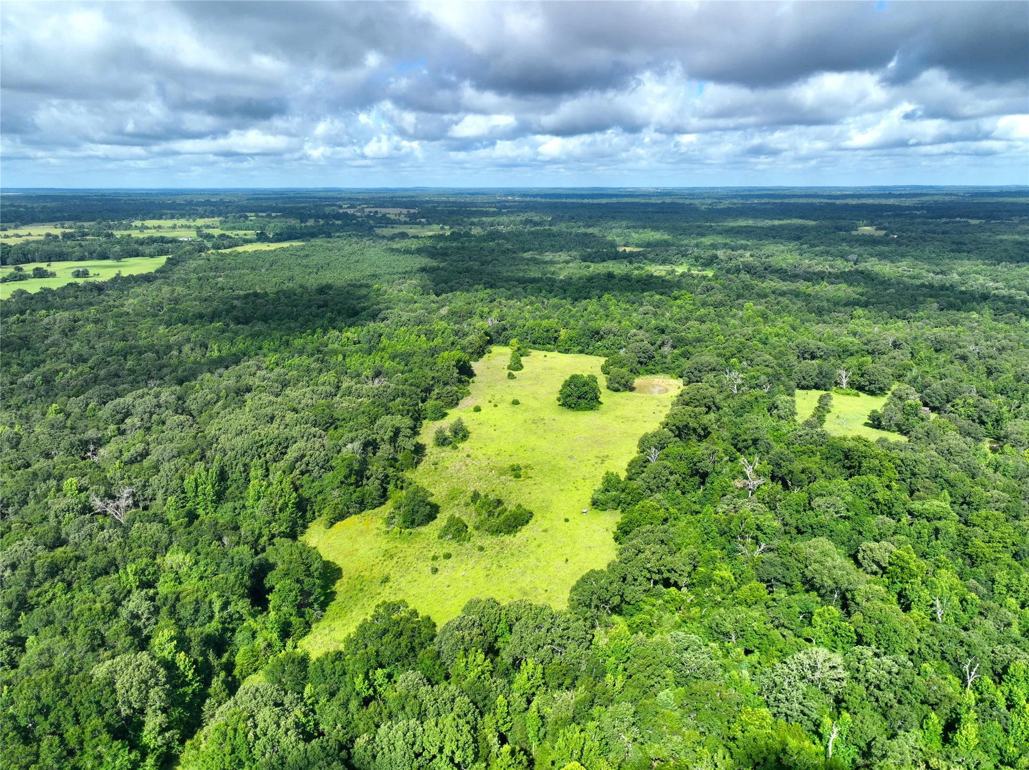Aerial overview of property's location featuring a forest