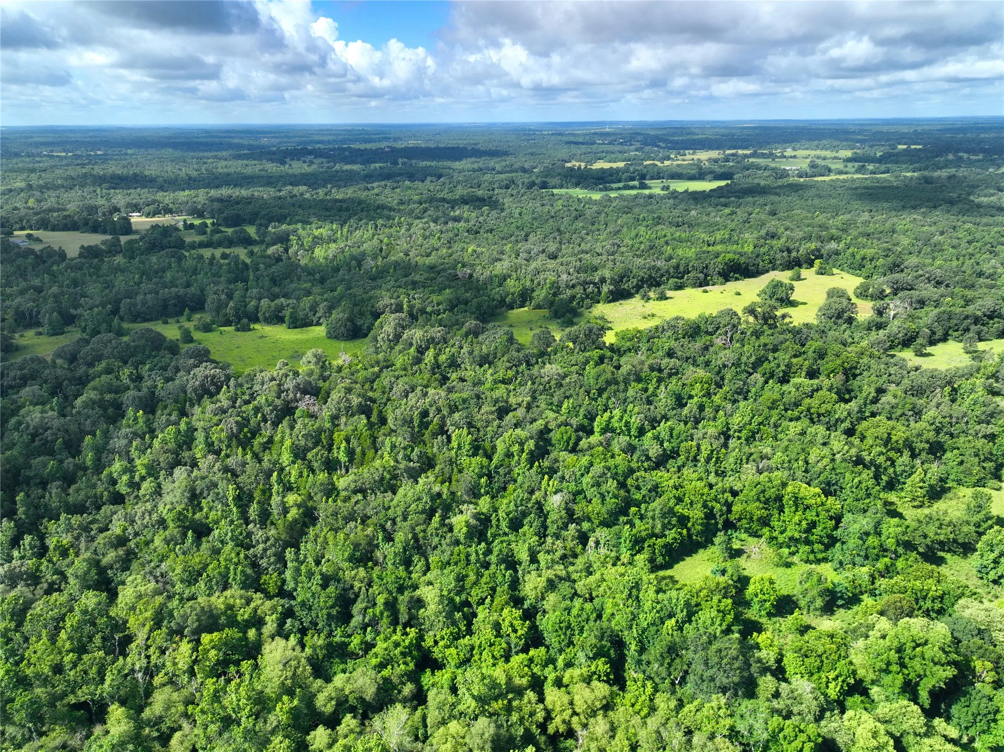 View of property location featuring a forest