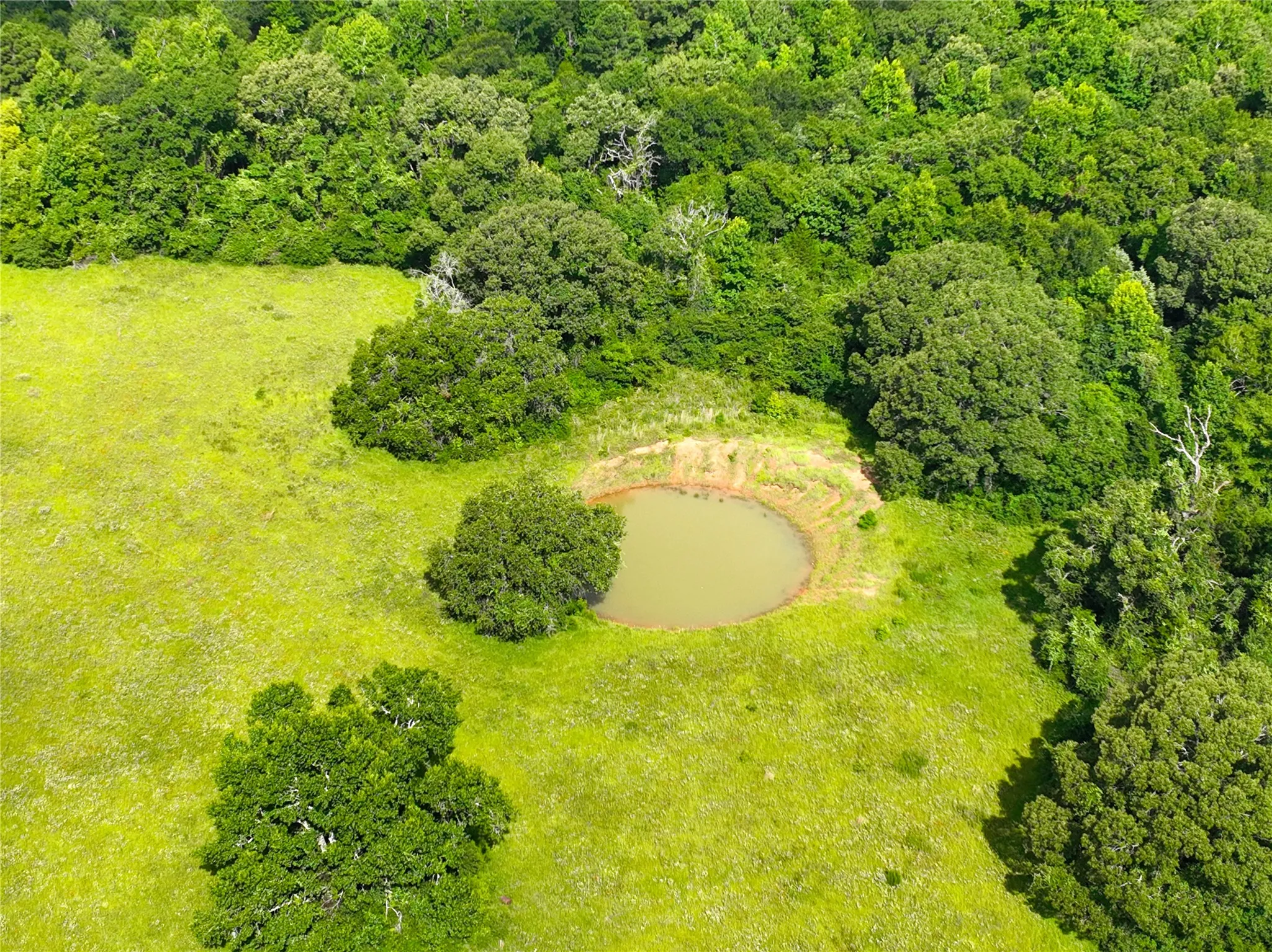Drone / aerial view of a heavily wooded area