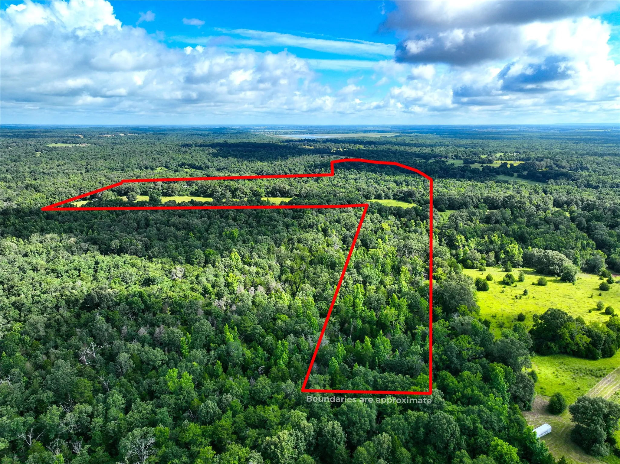 Aerial view of property's location featuring a forest and property parcel outlined
