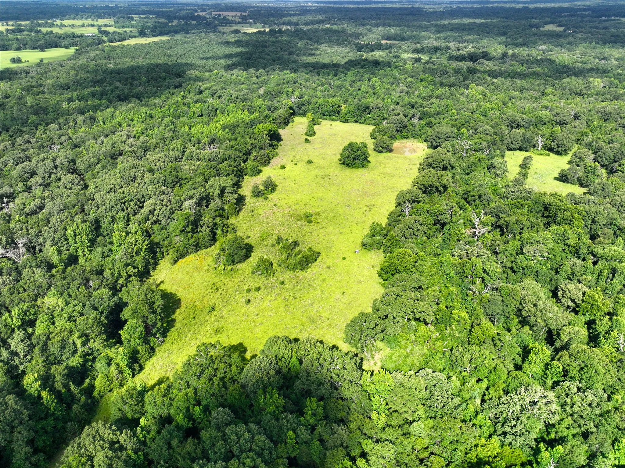 View of property location featuring a forest