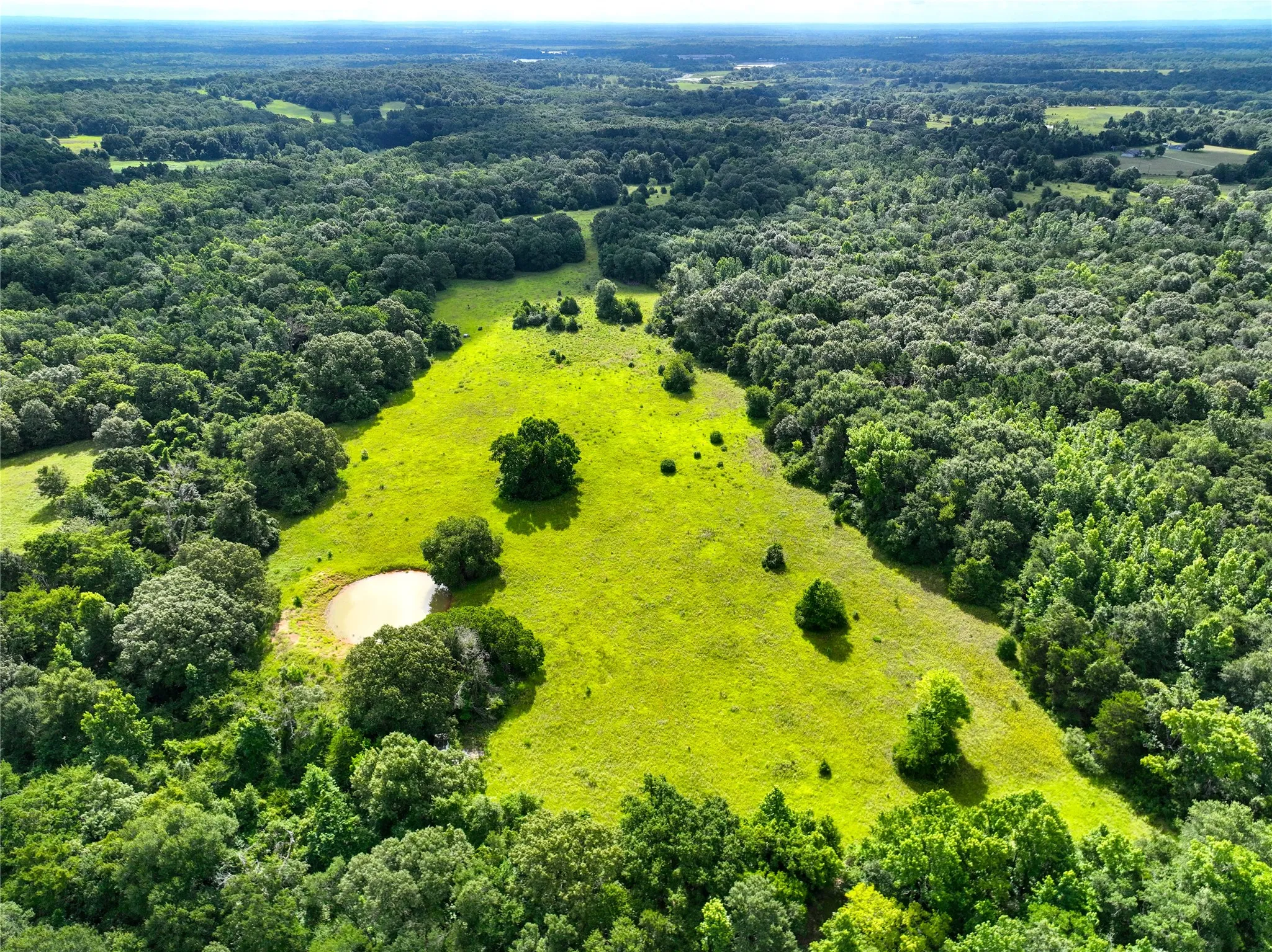 Unimproved Land For Sale in Freestone County , TBD FCR 280, Oakwood, Texas 75855, 0, 0, Garage spaces, 0 Sqft, built in 0, Price $410,000, mls#20972244, Real Estate Agent in Oakwood, Homes For Sale in Freestone county, Homes For Sale in Oakwood, Realtor in Oakwood Texas, Real Estate Brokerage Independent Realty Texas, Luminita Cordes Realtor