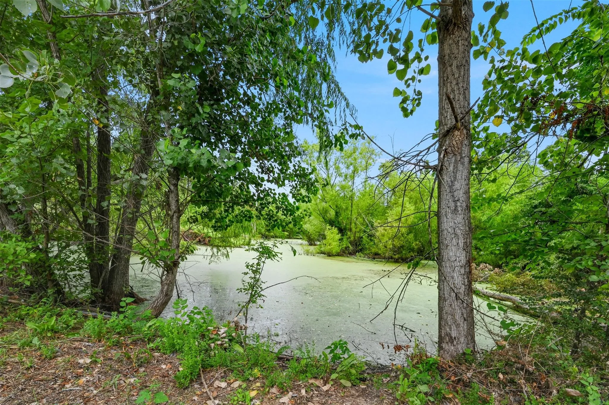 Unimproved Land For Sale in Grayson County , 1221 Hillcrest Circle, Gordonville, Texas 76245, 0, 0, Garage spaces, 0 Sqft, built in 0, Price $94,500, mls#20984486, Real Estate Agent in Gordonville, Homes For Sale in Grayson county, Homes For Sale in Gordonville, Realtor in Gordonville Texas, Real Estate Brokerage Independent Realty Texas, Luminita Cordes Realtor