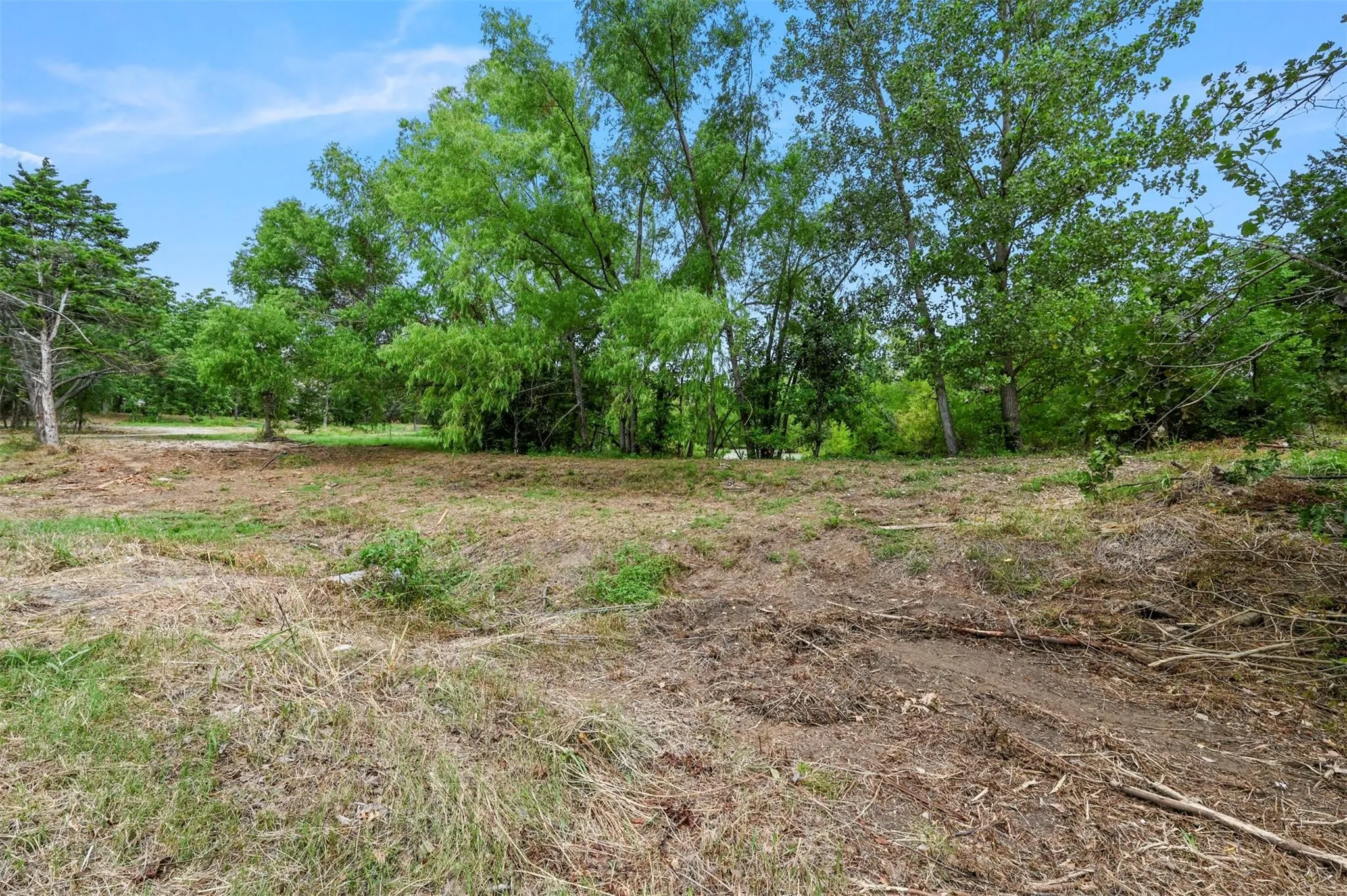 View of undeveloped land