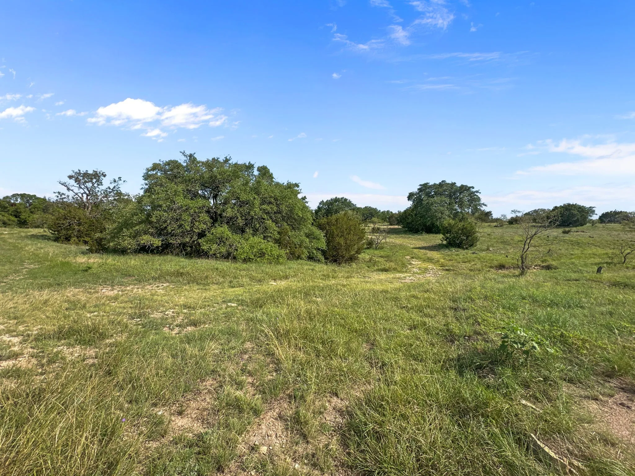 View of local wilderness with rural landscape