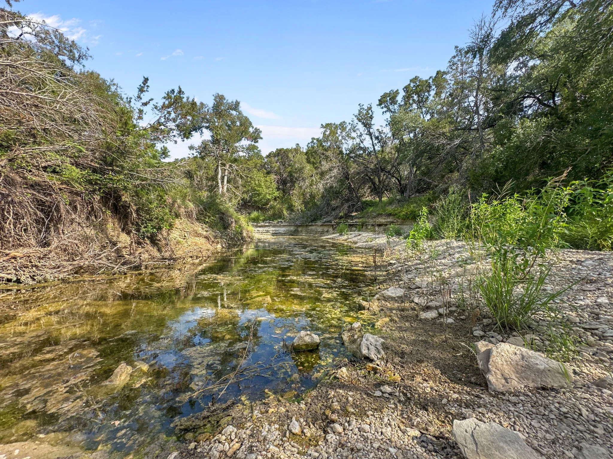 View of undeveloped land