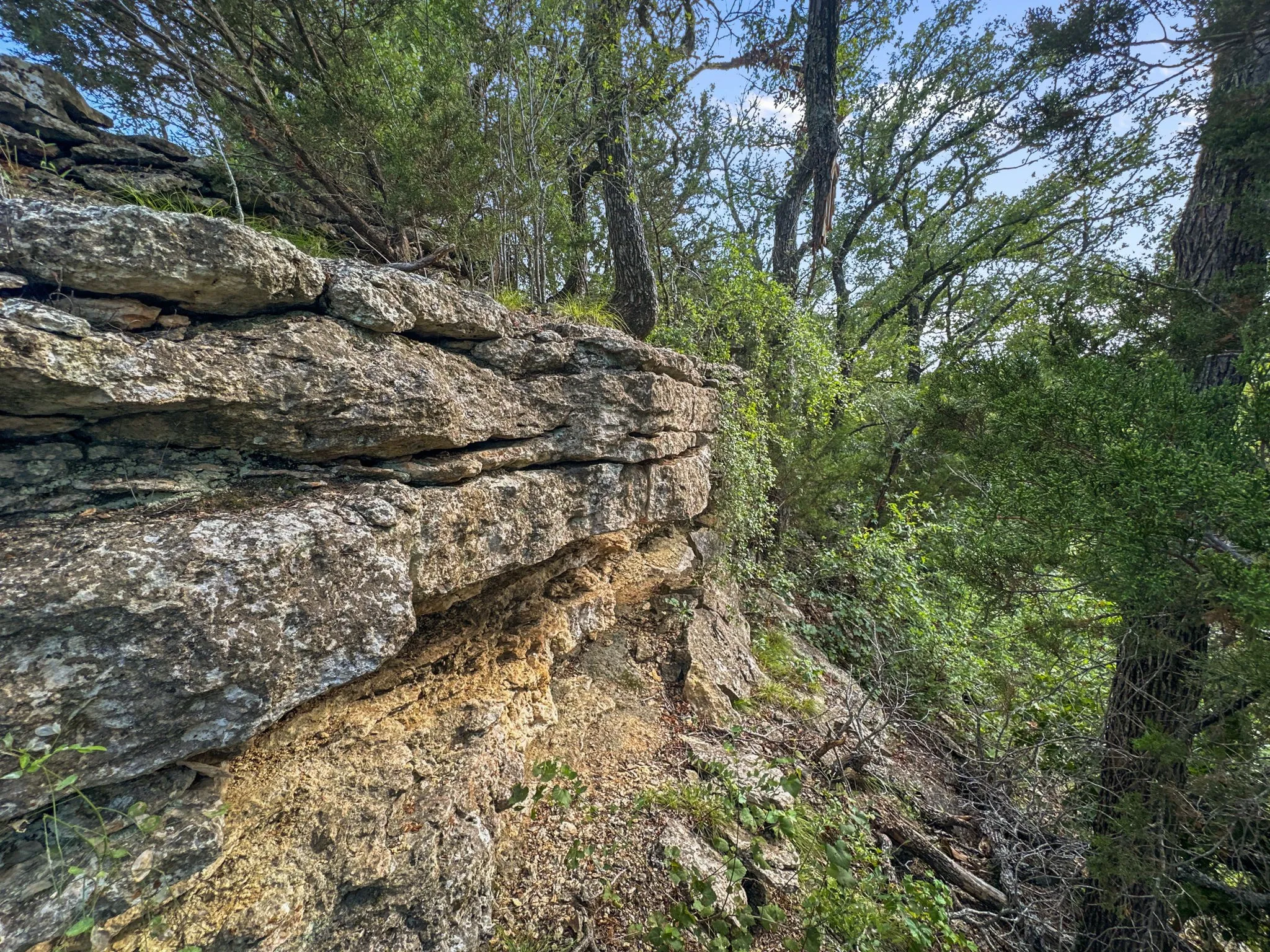 View of nature