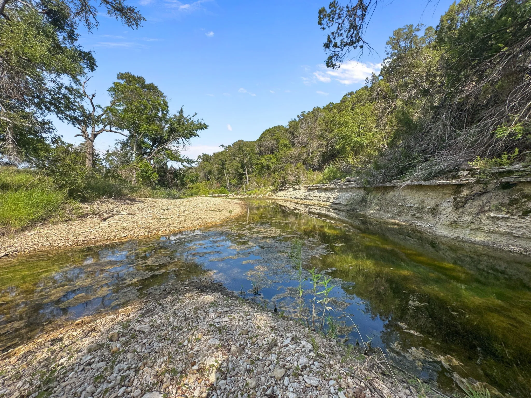 Water view with a forest