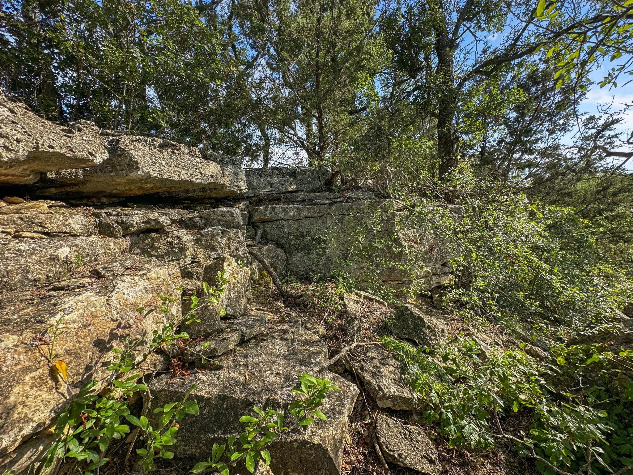 View of local wilderness
