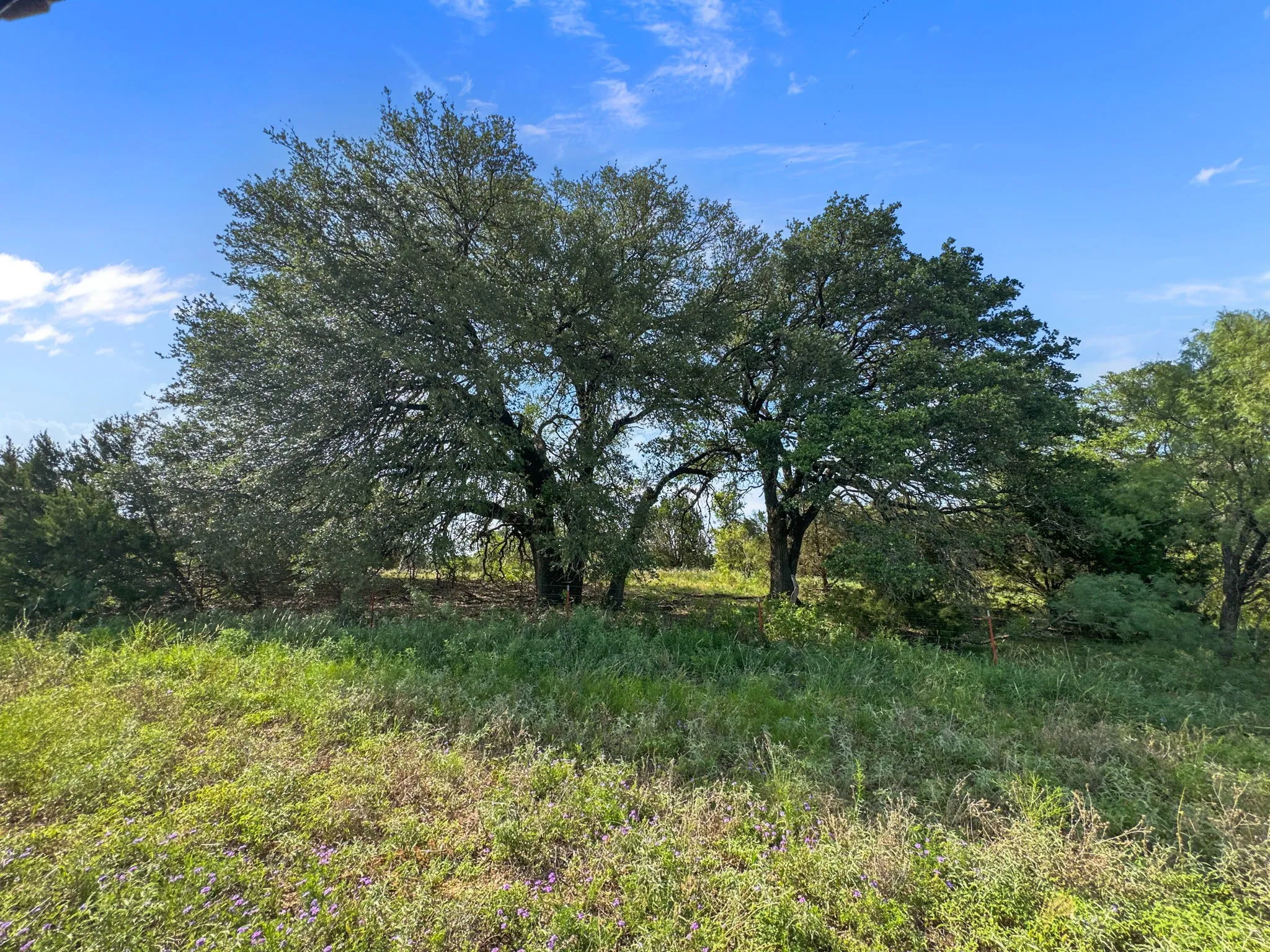 View of undeveloped land