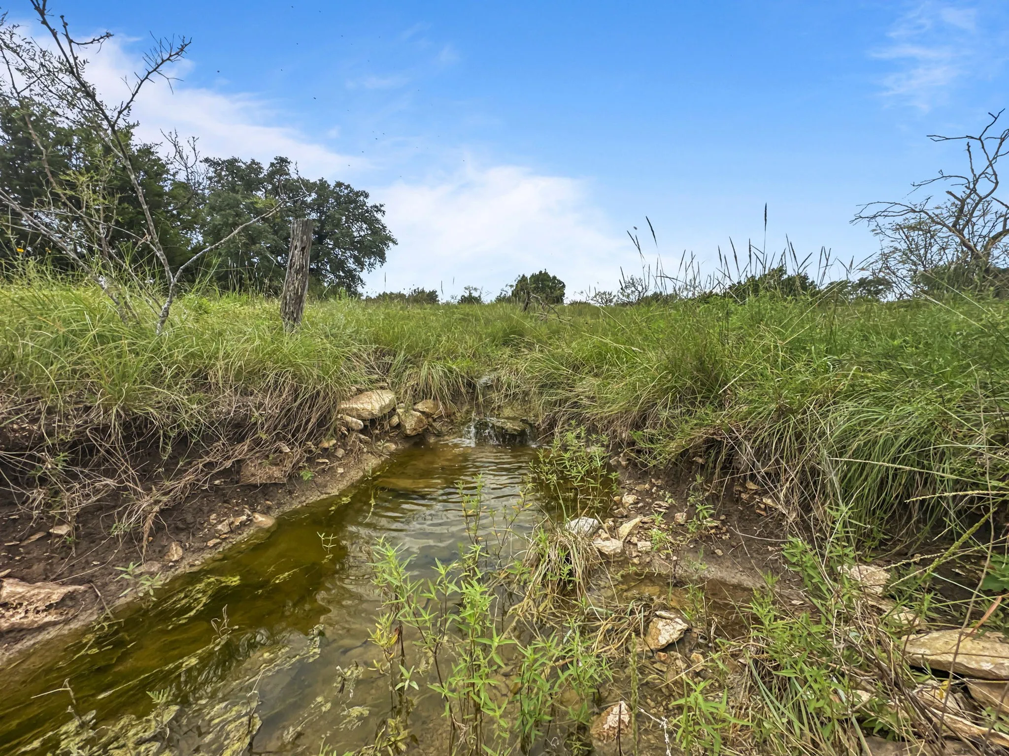 View of undeveloped land