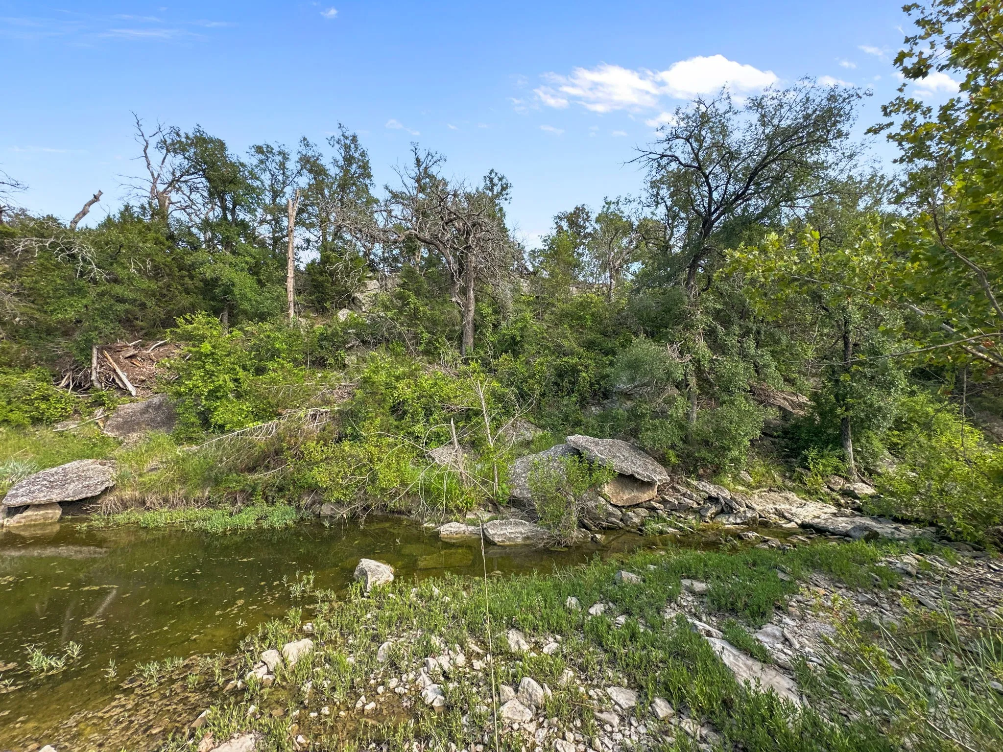 View of local wilderness