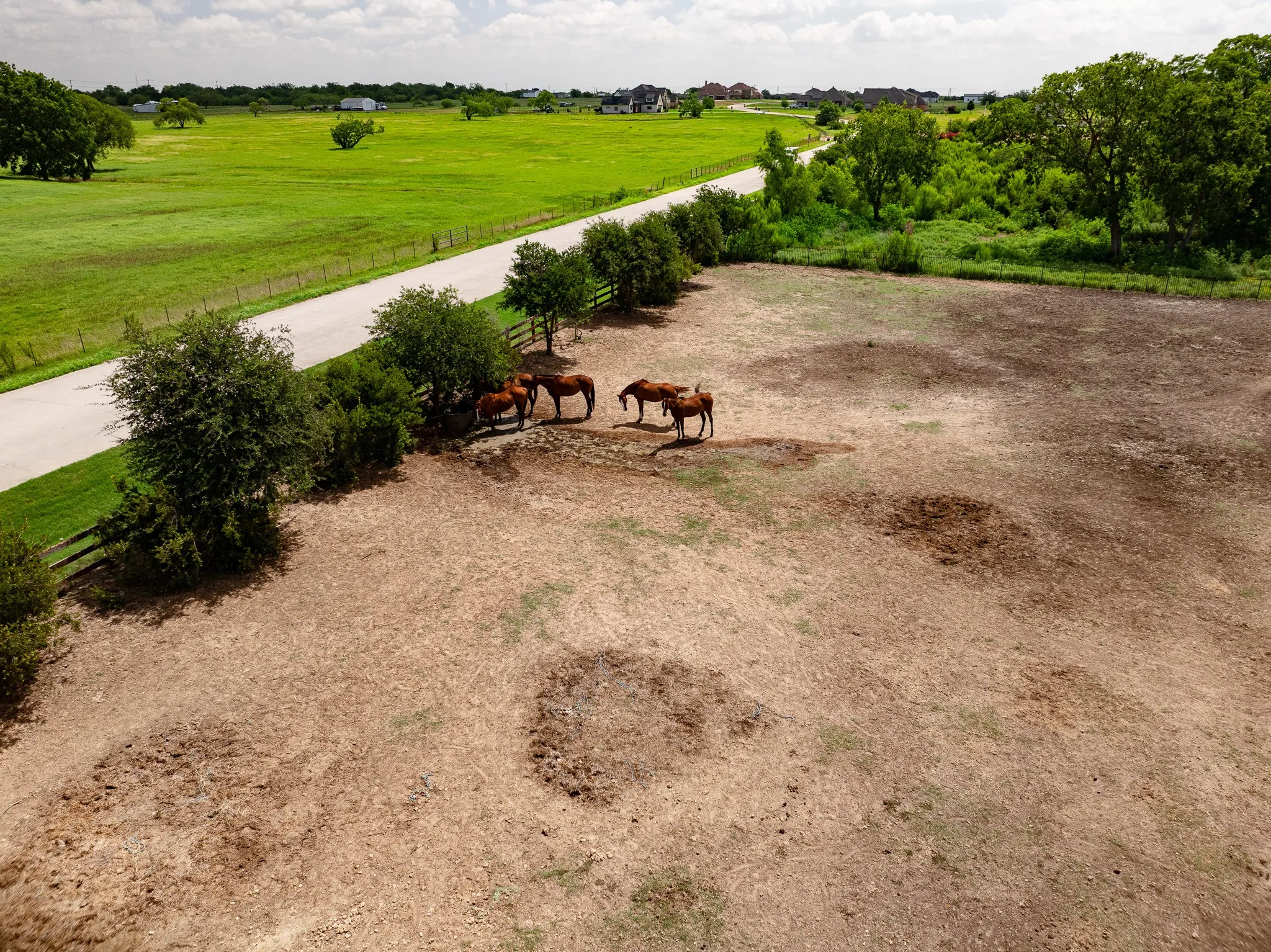 Unimproved Land For Sale in Denton County , 311 Martingale Trail, Oak Point, Texas 75068, 0, 0, Garage spaces, 0 Sqft, built in 0, Price $475,000, mls#20983482, Real Estate Agent in Oak Point, Homes For Sale in Denton county, Homes For Sale in Oak Point, Realtor in Oak Point Texas, Real Estate Brokerage Independent Realty Texas, Luminita Cordes Realtor