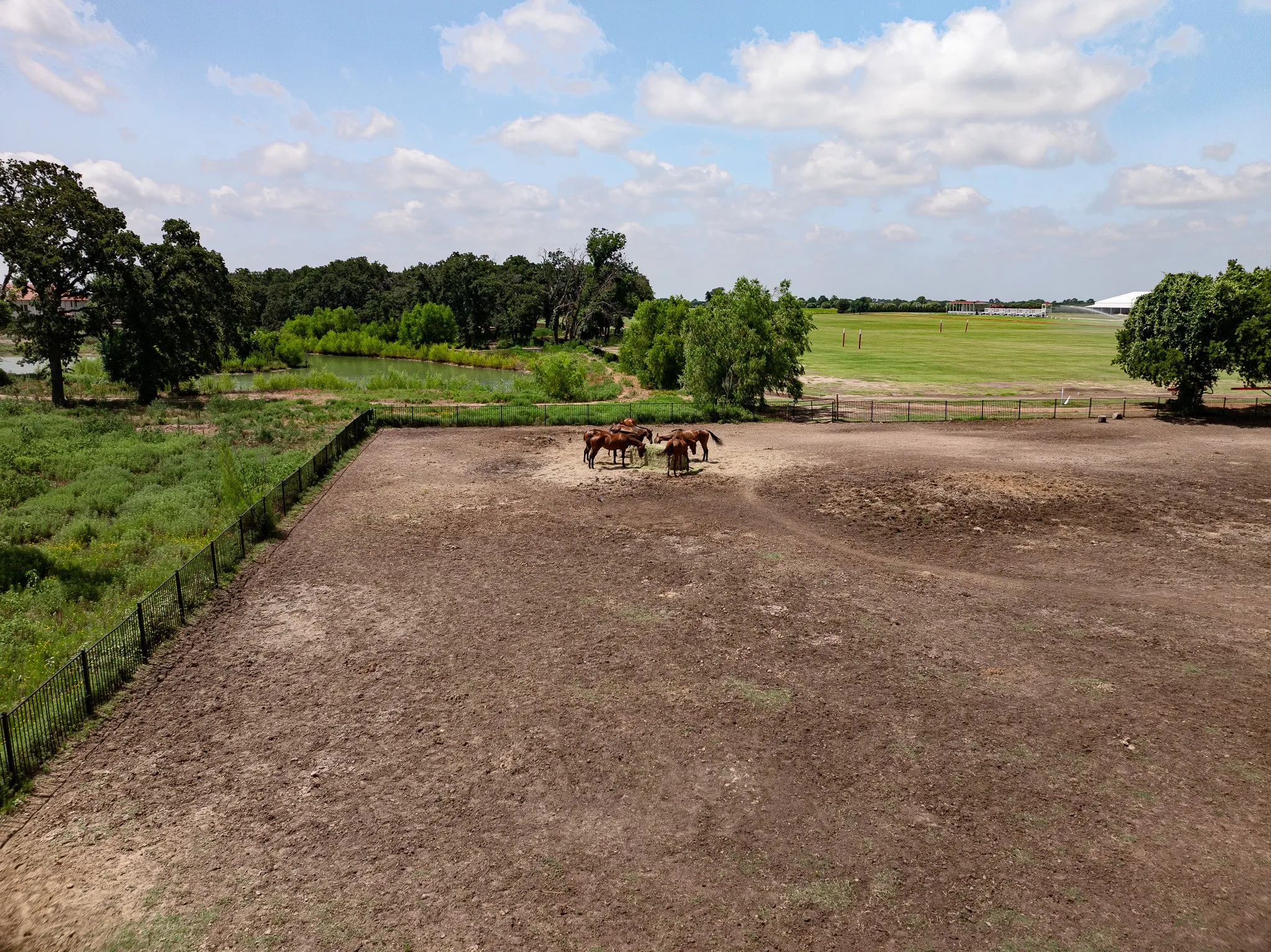Unimproved Land For Sale in Denton County , 311 Martingale Trail, Oak Point, Texas 75068, 0, 0, Garage spaces, 0 Sqft, built in 0, Price $475,000, mls#20983482, Real Estate Agent in Oak Point, Homes For Sale in Denton county, Homes For Sale in Oak Point, Realtor in Oak Point Texas, Real Estate Brokerage Independent Realty Texas, Luminita Cordes Realtor