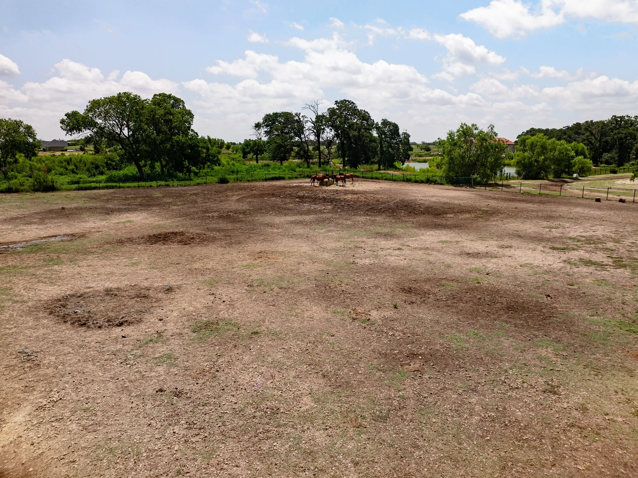 Unimproved Land For Sale in Denton County , 311 Martingale Trail, Oak Point, Texas 75068, 0, 0, Garage spaces, 0 Sqft, built in 0, Price $475,000, mls#20983482, Real Estate Agent in Oak Point, Homes For Sale in Denton county, Homes For Sale in Oak Point, Realtor in Oak Point Texas, Real Estate Brokerage Independent Realty Texas, Luminita Cordes Realtor