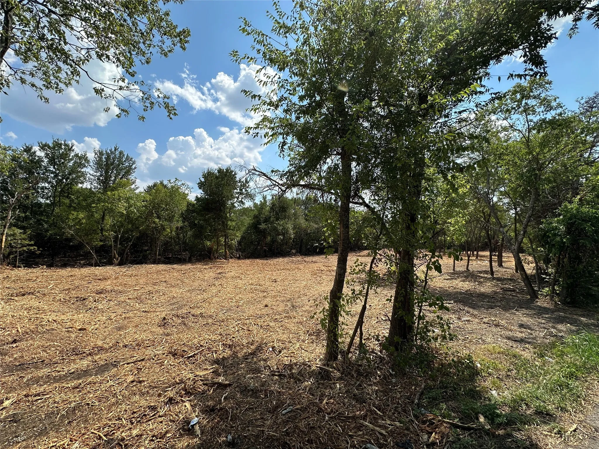 Unimproved Land For Sale in Hunt County , TBD Cr-2720, Caddo Mills, Texas 75135, 0, 0, Garage spaces, 0 Sqft, built in 0, mls#20985157, Real Estate Agent in Caddo Mills, Homes For Sale in Hunt county, Homes For Sale in Caddo Mills, Realtor in Caddo Mills Texas, Real Estate Brokerage Independent Realty Texas, Luminita Cordes Realtor