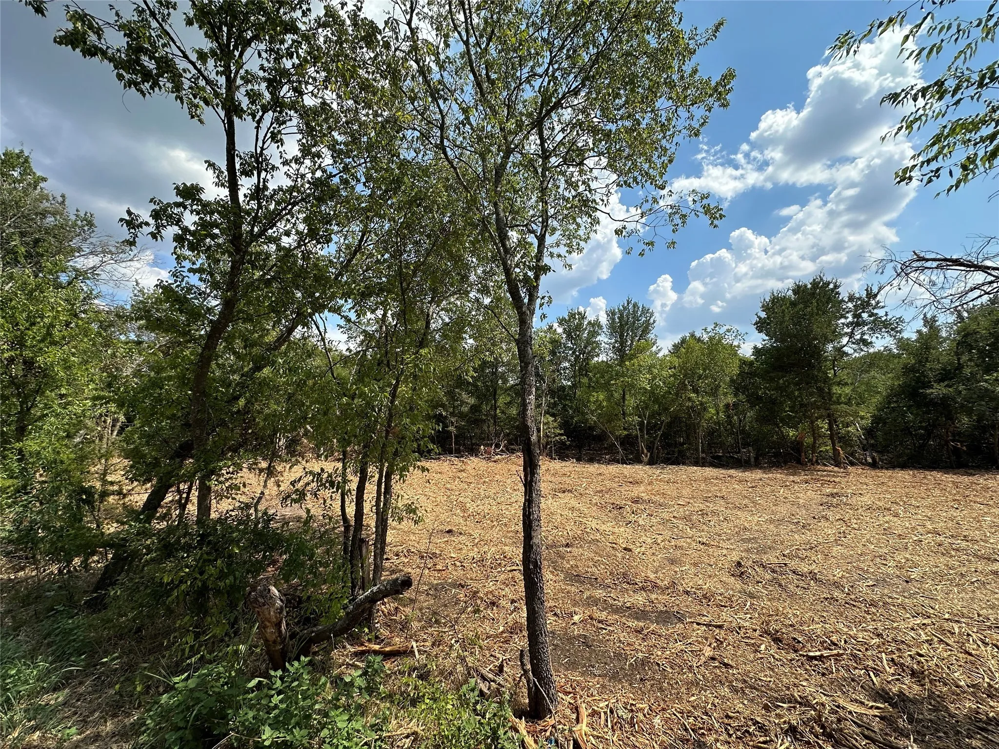 Unimproved Land For Sale in Hunt County , TBD Cr-2720, Caddo Mills, Texas 75135, 0, 0, Garage spaces, 0 Sqft, built in 0, mls#20985157, Real Estate Agent in Caddo Mills, Homes For Sale in Hunt county, Homes For Sale in Caddo Mills, Realtor in Caddo Mills Texas, Real Estate Brokerage Independent Realty Texas, Luminita Cordes Realtor