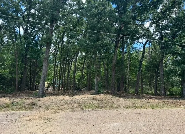 Unimproved Land For Sale in Henderson County , 104 Red Bluff Loop, Mabank, Texas 75156, 0, 0, Garage spaces, 0 Sqft, built in 0, Price $25,000, mls#20983640, Real Estate Agent in Mabank, Homes For Sale in Henderson county, Homes For Sale in Mabank, Realtor in Mabank Texas, Real Estate Brokerage Independent Realty Texas, Luminita Cordes Realtor