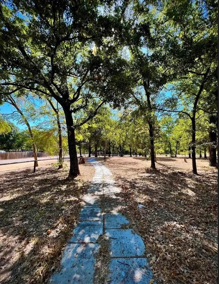 Unimproved Land For Sale in Henderson County , 104 Red Bluff Loop, Mabank, Texas 75156, 0, 0, Garage spaces, 0 Sqft, built in 0, Price $25,000, mls#20983640, Real Estate Agent in Mabank, Homes For Sale in Henderson county, Homes For Sale in Mabank, Realtor in Mabank Texas, Real Estate Brokerage Independent Realty Texas, Luminita Cordes Realtor