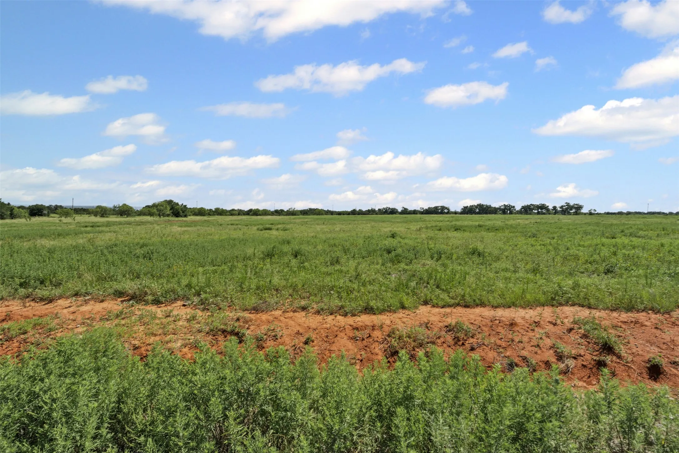 Unimproved Land For Sale in Palo Pinto County , TBD Upper Branch Way, Palo Pinto, Texas 76484, 0, 0, Garage spaces, 0 Sqft, built in 0, Price $80,000, mls#20981757, Real Estate Agent in Palo Pinto, Homes For Sale in Palo Pinto county, Homes For Sale in Palo Pinto, Realtor in Palo Pinto Texas, Real Estate Brokerage Independent Realty Texas, Luminita Cordes Realtor