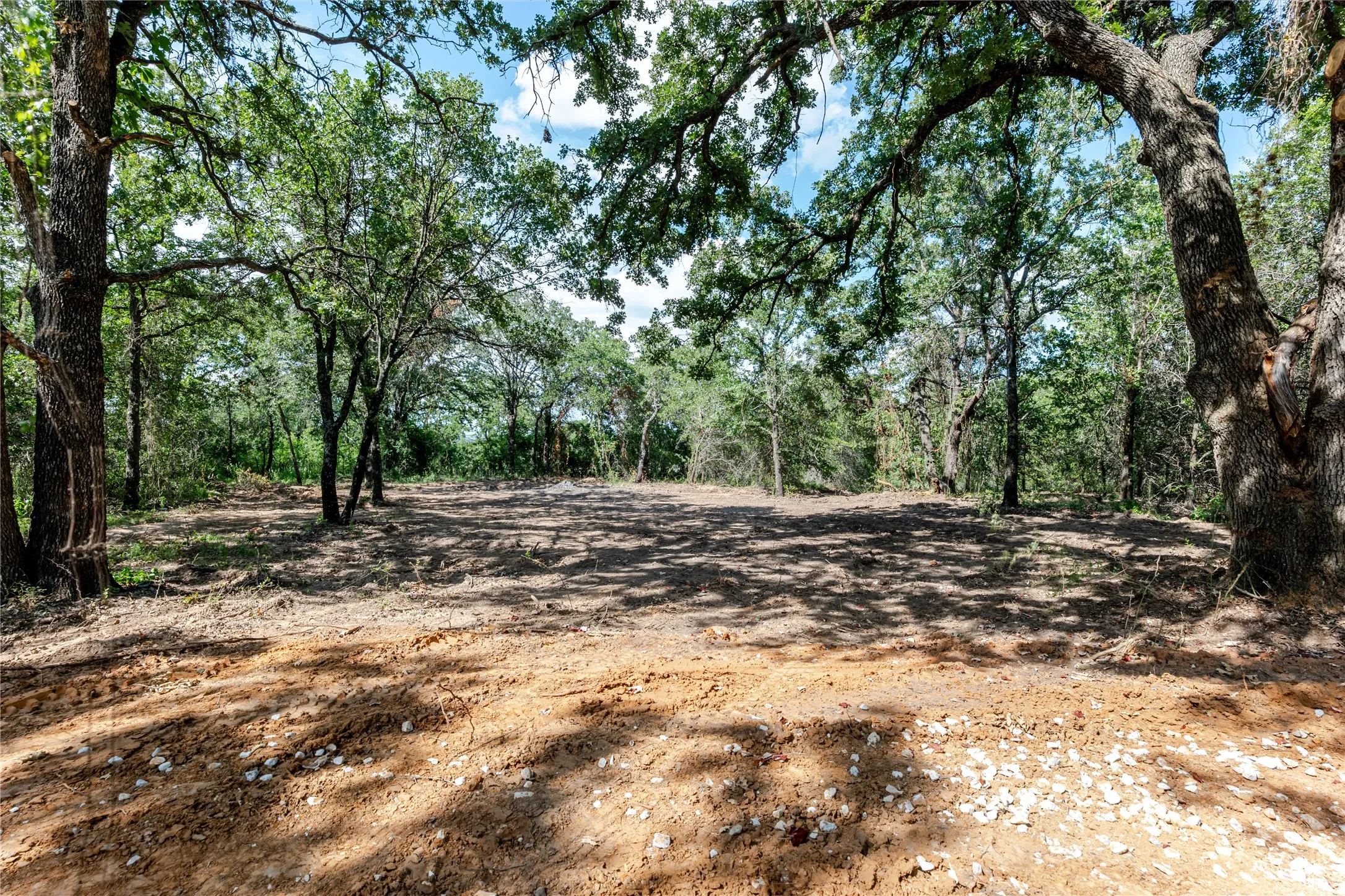 View of woods